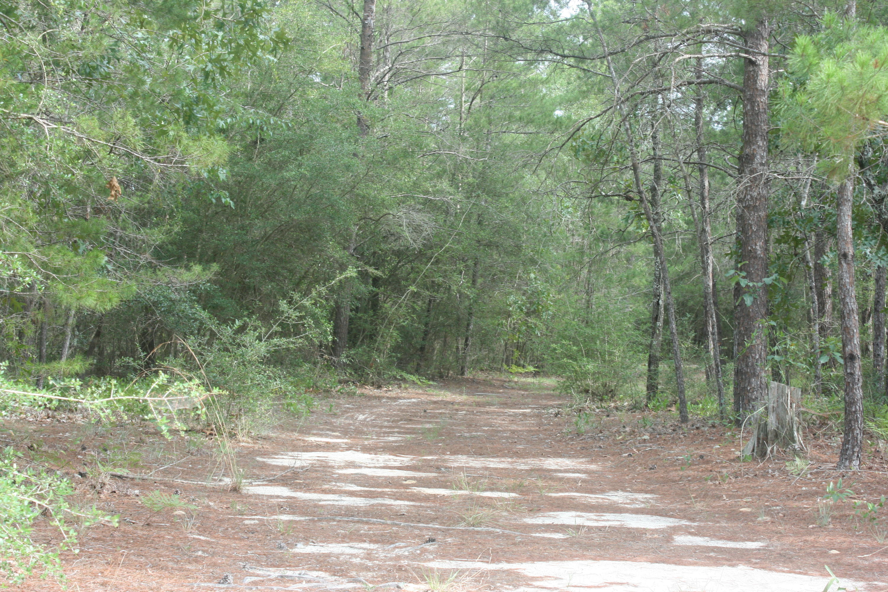 NONESUCH WAY - Residential