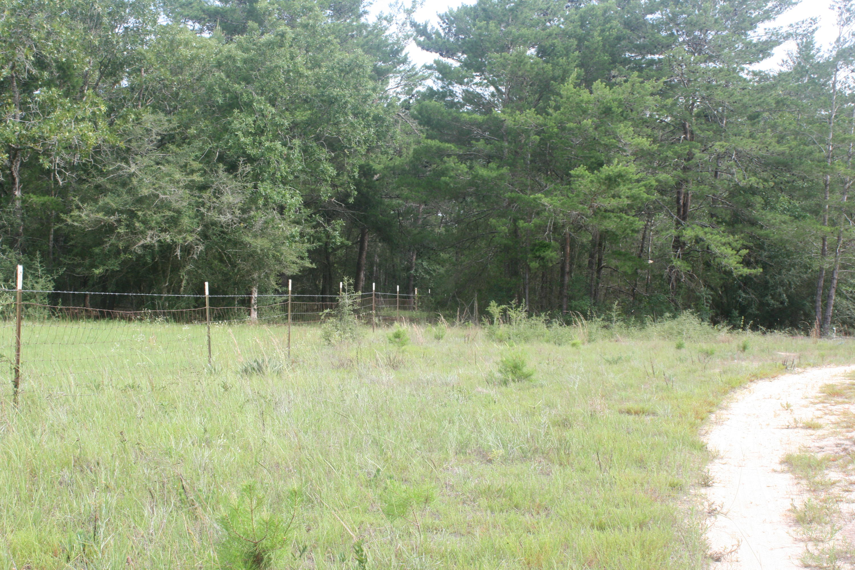 NONESUCH WAY - Residential