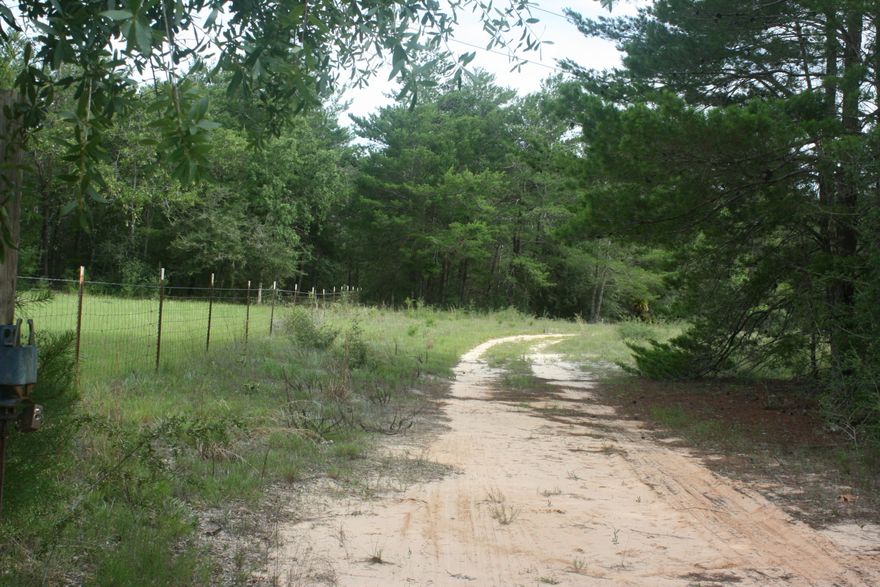 Bring Your Horses! Dual Listing Agriculture and Residential land over 13 acres. Double Wide 1997 manufactured home in terrible shape, but being sold in ''AS IS'' condition for buyer. Front yard and back yards have 2 separate fences with individual gates. Parcel is located within about 200 yards off Hwy 393 North and within 100 yards to Hwy 90 East. New drilled well in January 2007. Large septic tank big enough for a 4 bedroom home. Very nice workshop in the backyard built on a slab. Swing gate at the front of the property to block of the driveway entrance.