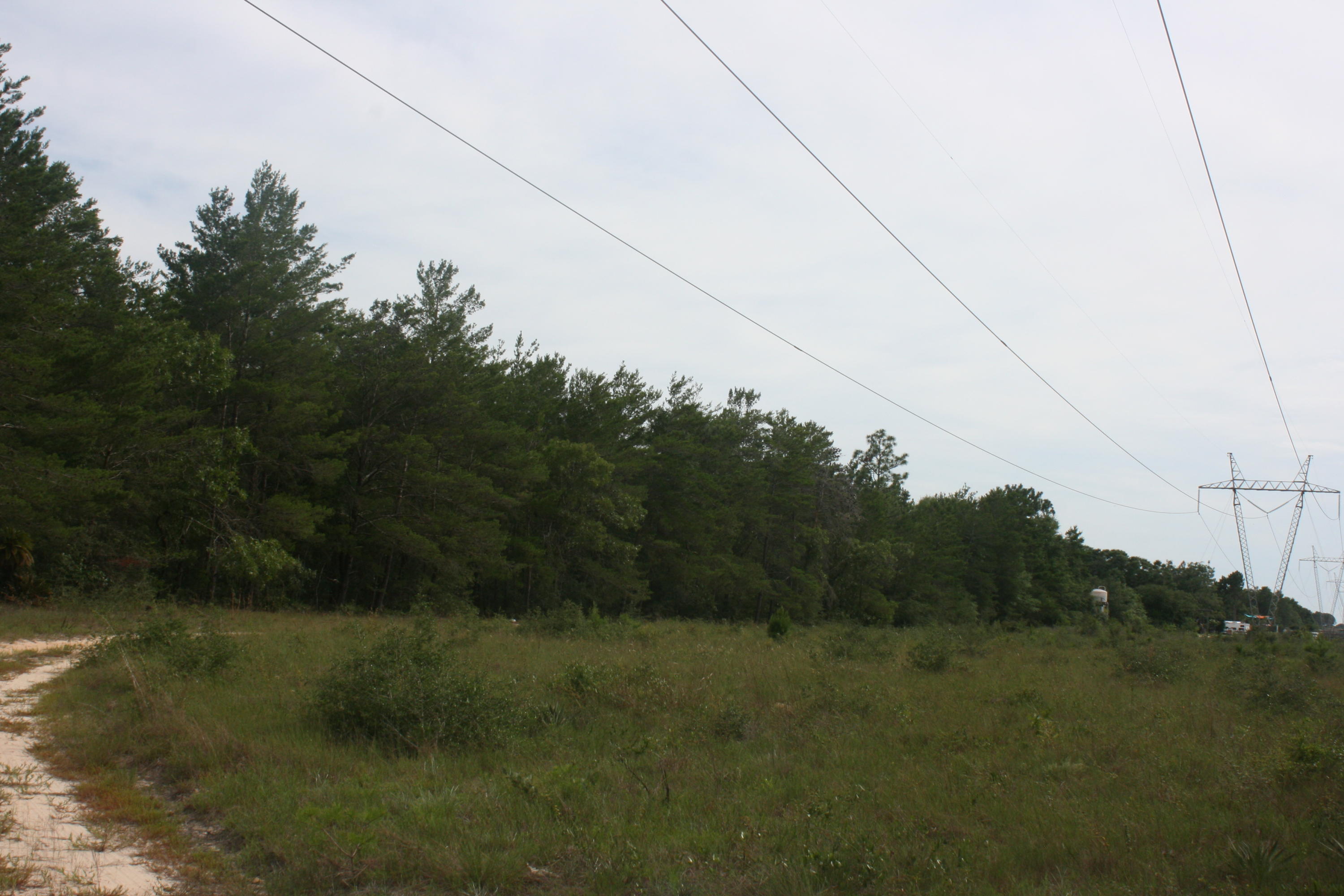 NONESUCH WAY - Residential