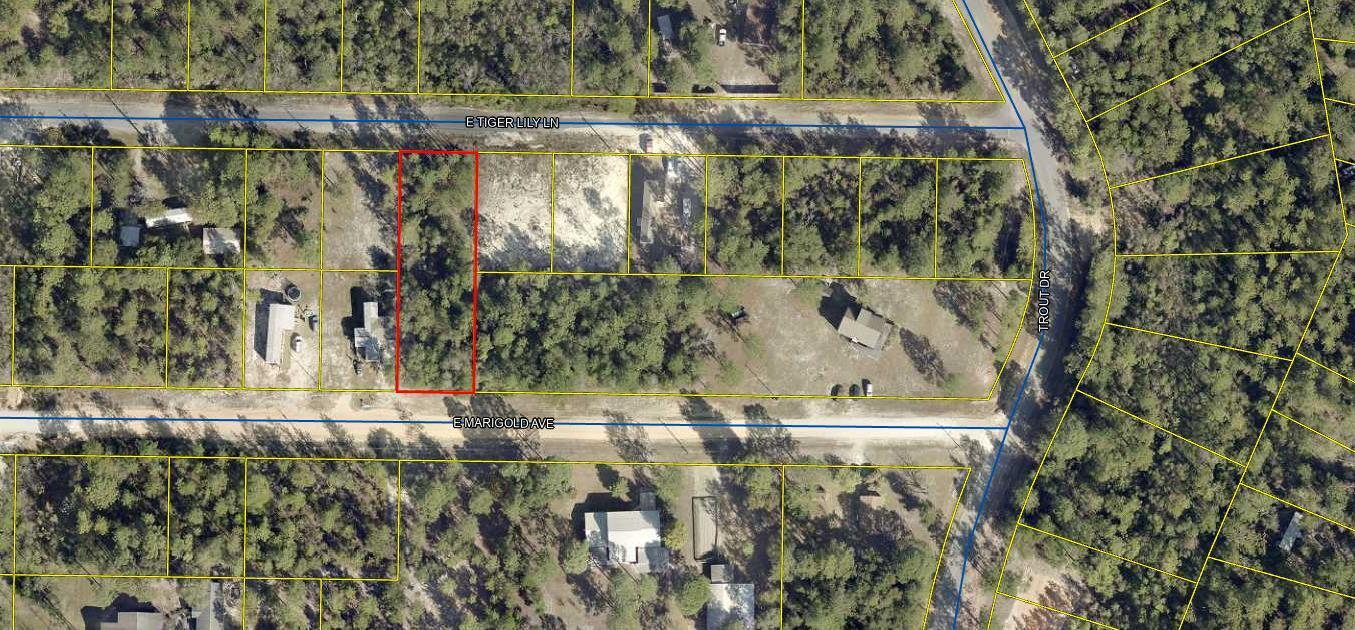 High and Dry, ready for your new home. Almost half an acre lot. No HOA and minimal restrictions. Mobile homes are allowed. Located in Flood Zone X per the Walton county property appraiser site.