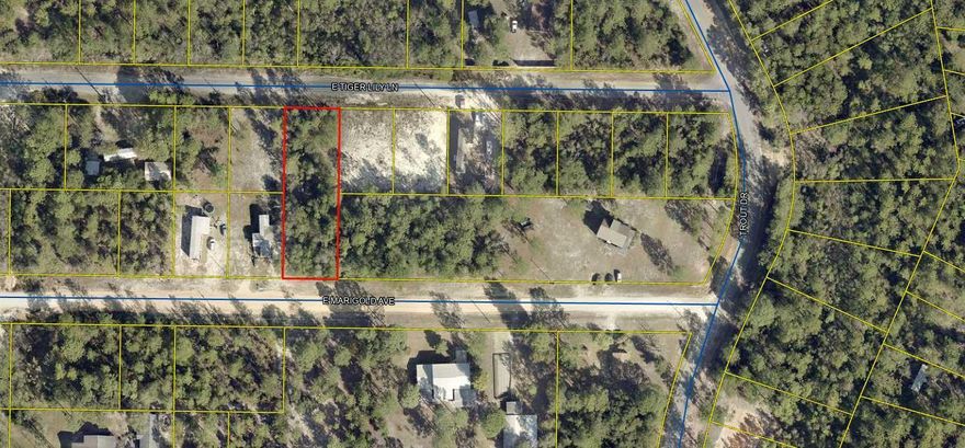 High and Dry, ready for your new home. Almost half an acre lot. No HOA and minimal restrictions. Mobile homes are allowed. Located in Flood Zone X per the Walton county property appraiser site.