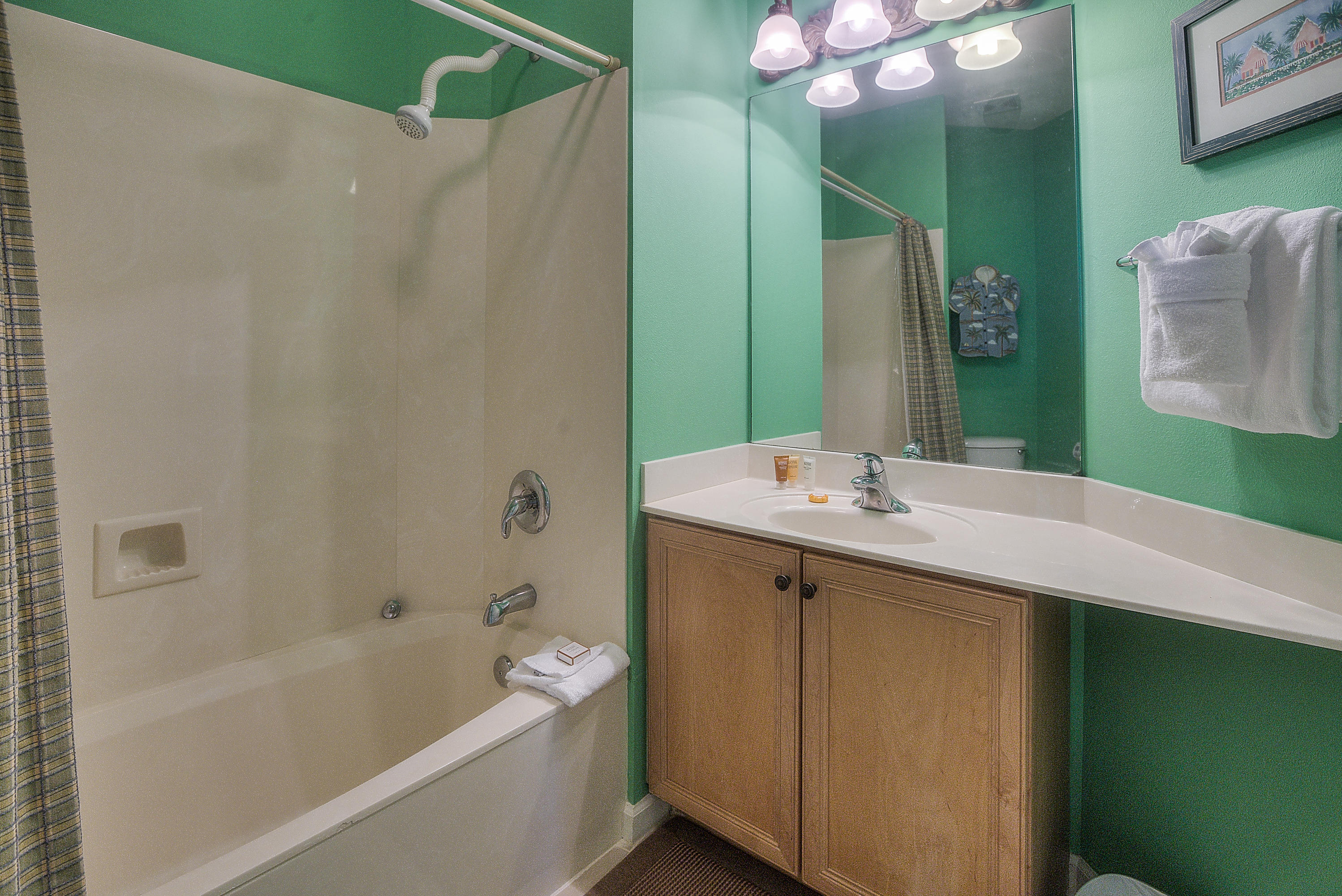 DUNES OF SEAGROVE - Residential