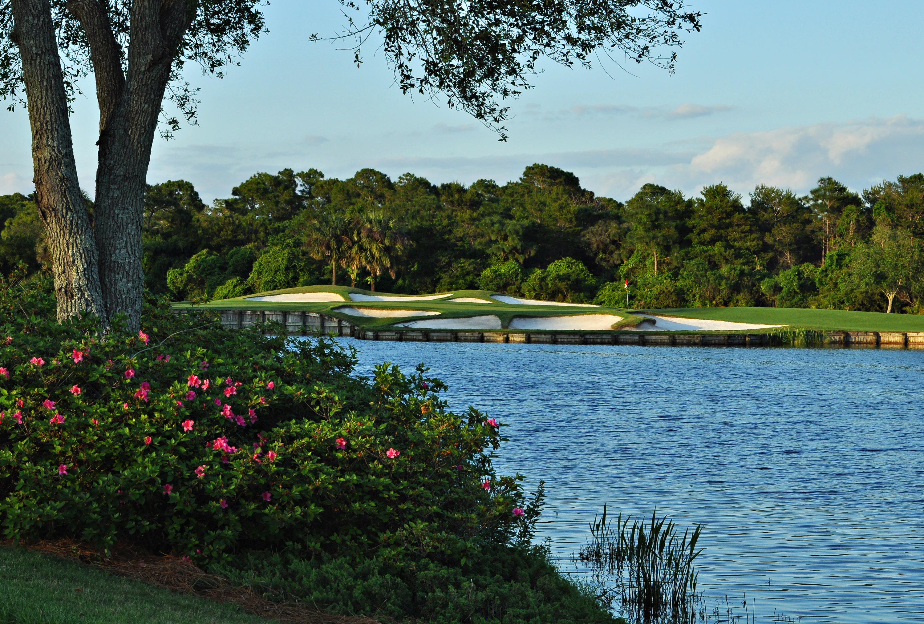 REGATTA BAY PH 1 - Land