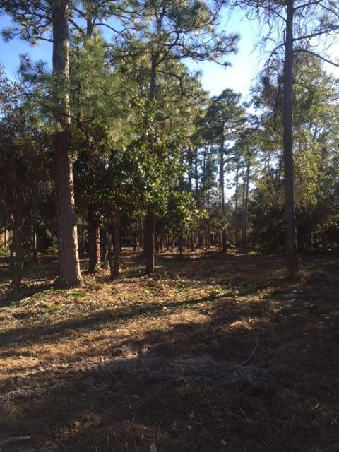 REGATTA BAY PH 1 - Land