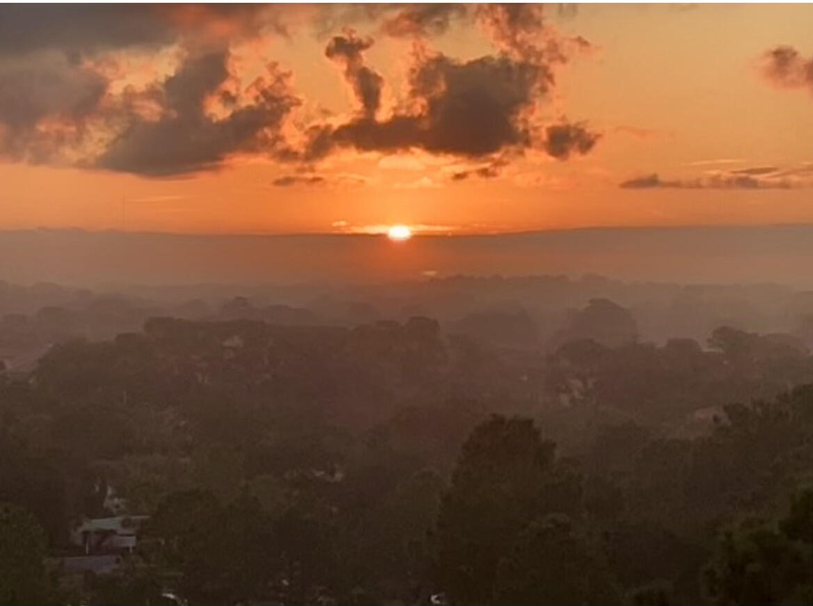 ELATION - Residential