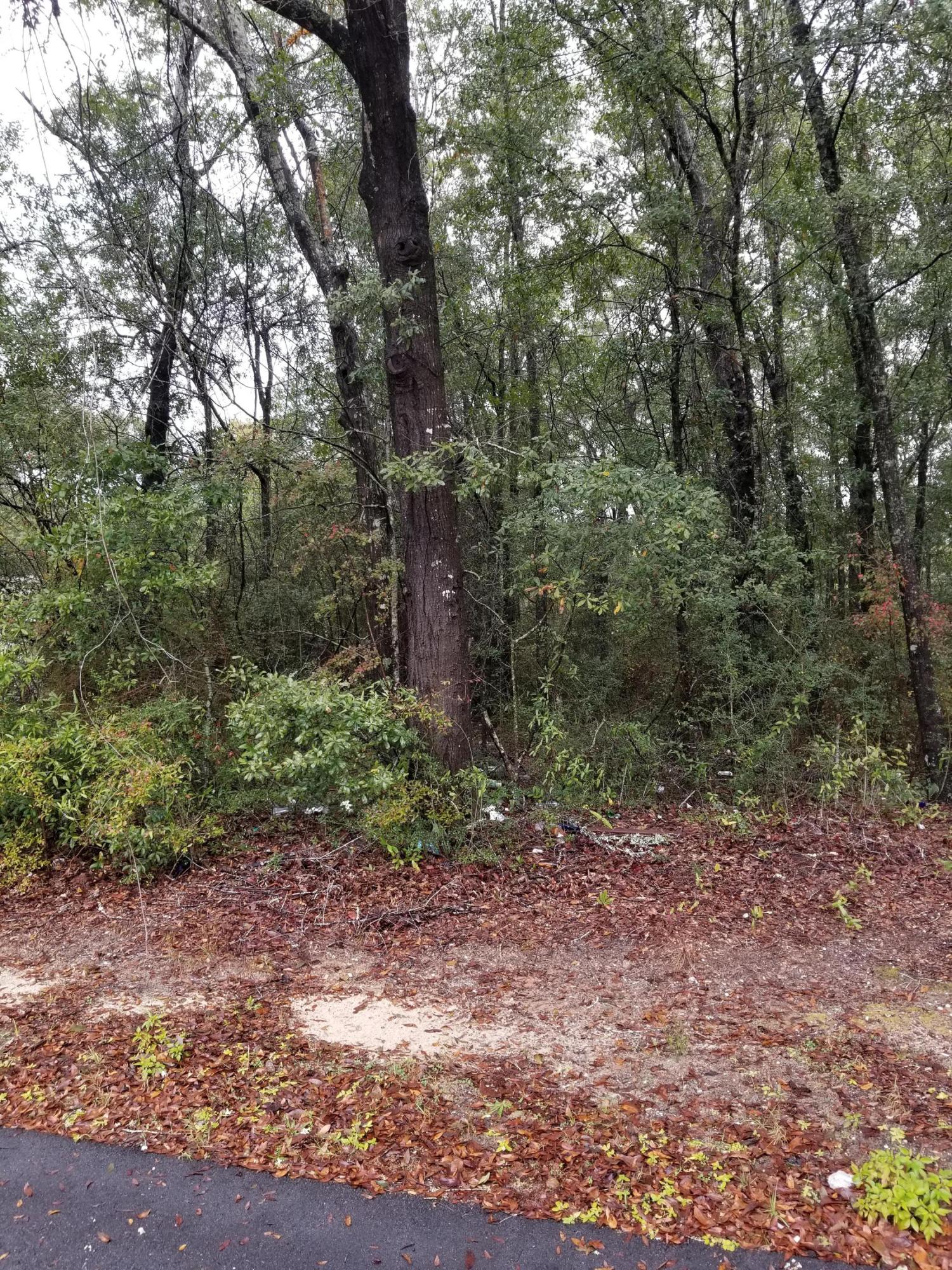 FERDON HEIGHTS - Land