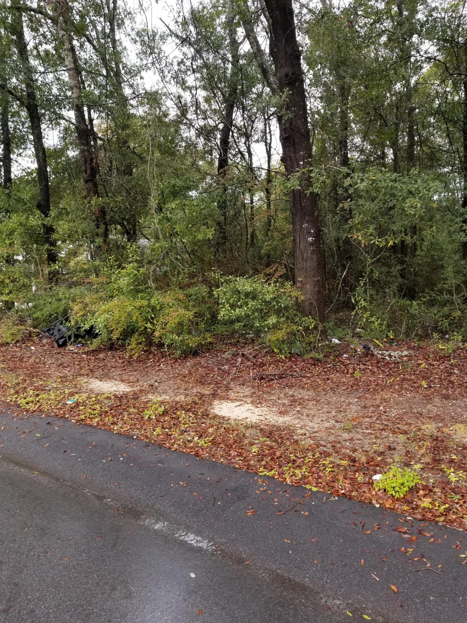 FERDON HEIGHTS - Land