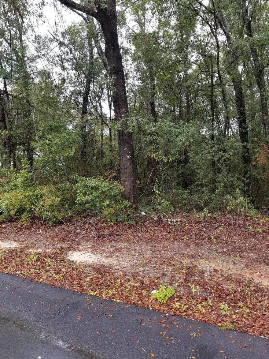 Looking for an affordable lot to build your new dream home on? Check out this lot and make your dreams come true. Water and Sewer Taps have not been paid on this lot.