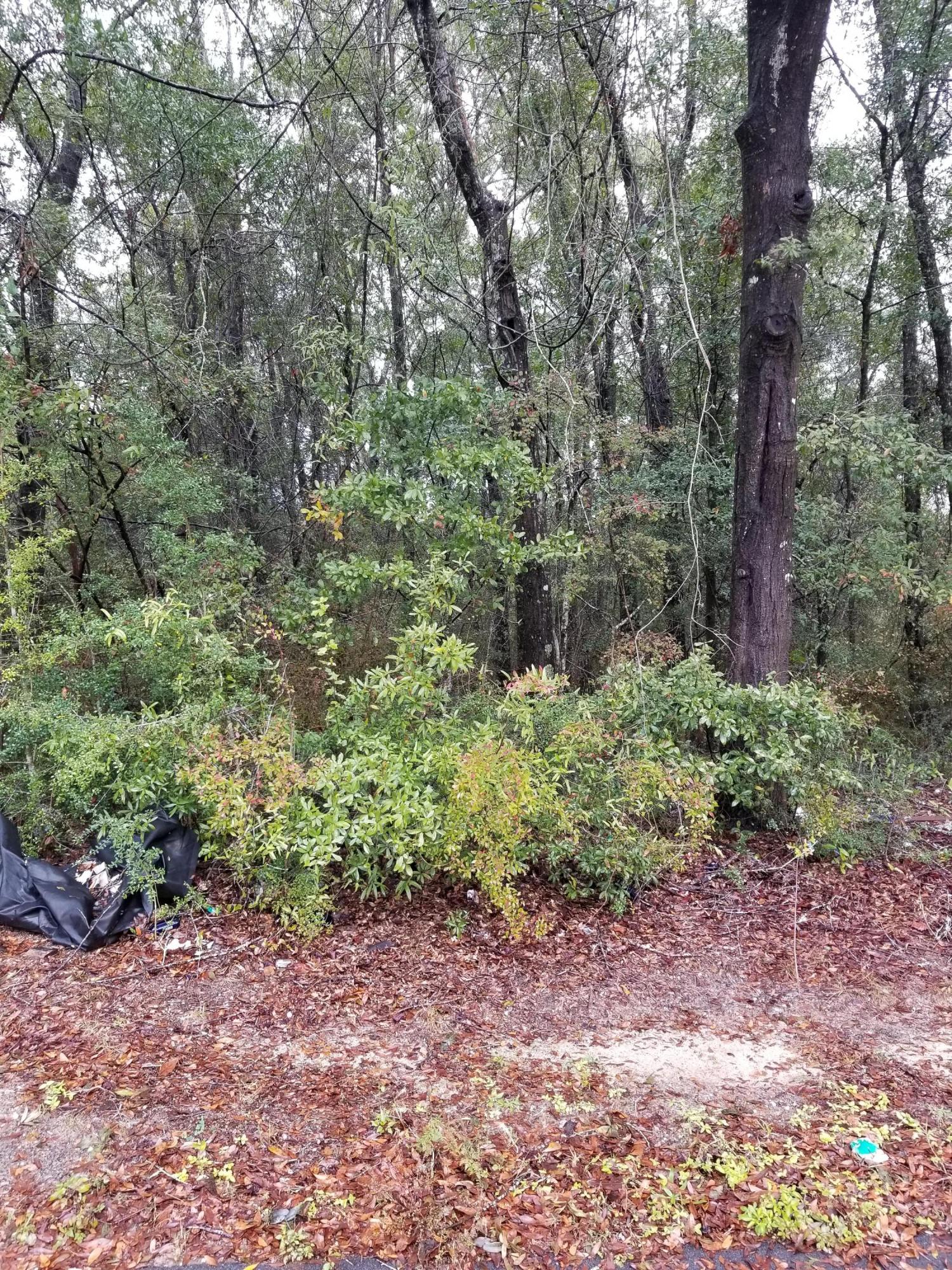 FERDON HEIGHTS - Land