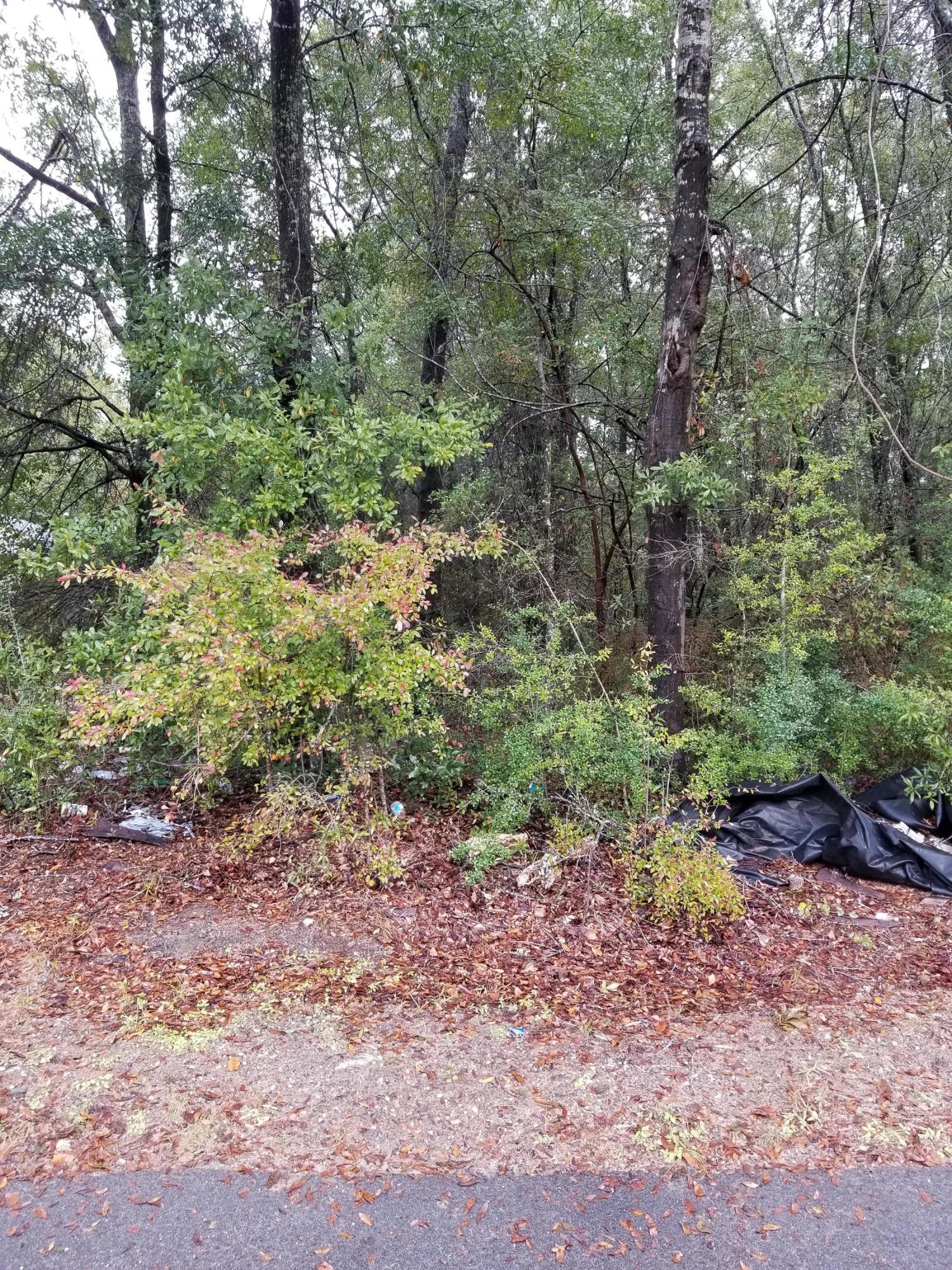 FERDON HEIGHTS - Land