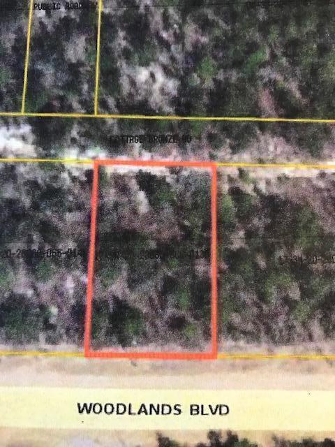 ITS A NICE LEVEL LOT, EASY ACCESS AND PERFECT FOR YOUR NEW HOME.