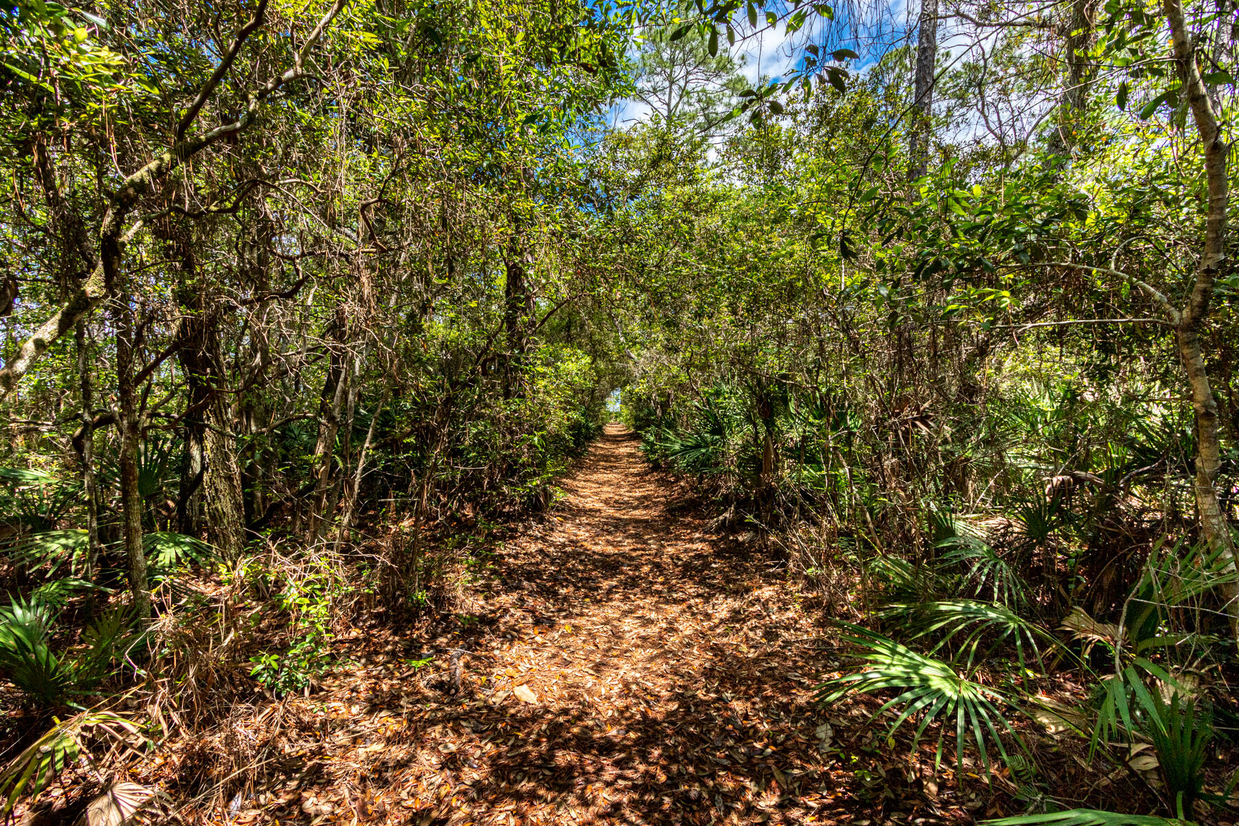 BAY MAGNOLIA - Residential