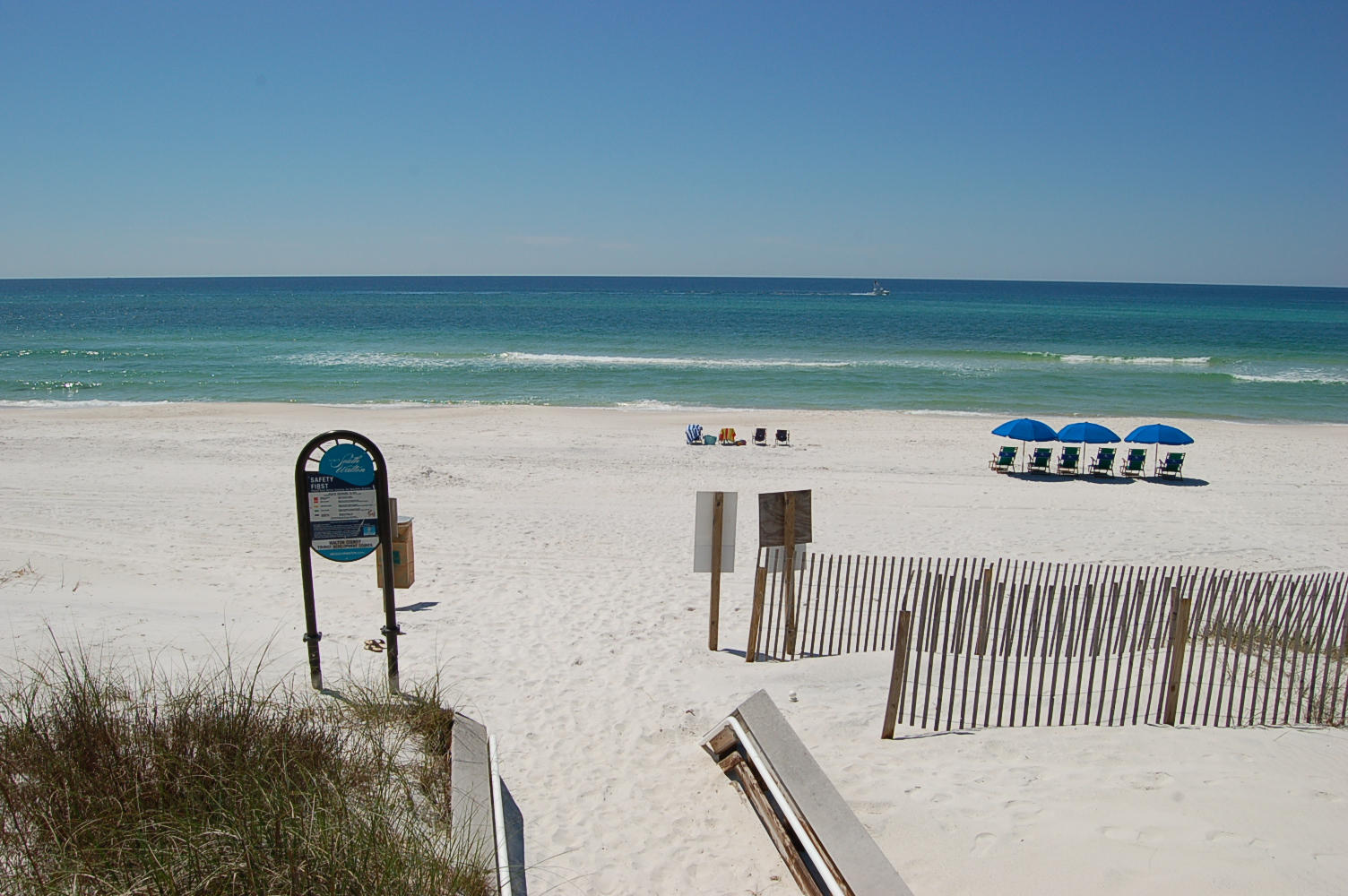 Heron at Inlet Beach - Land