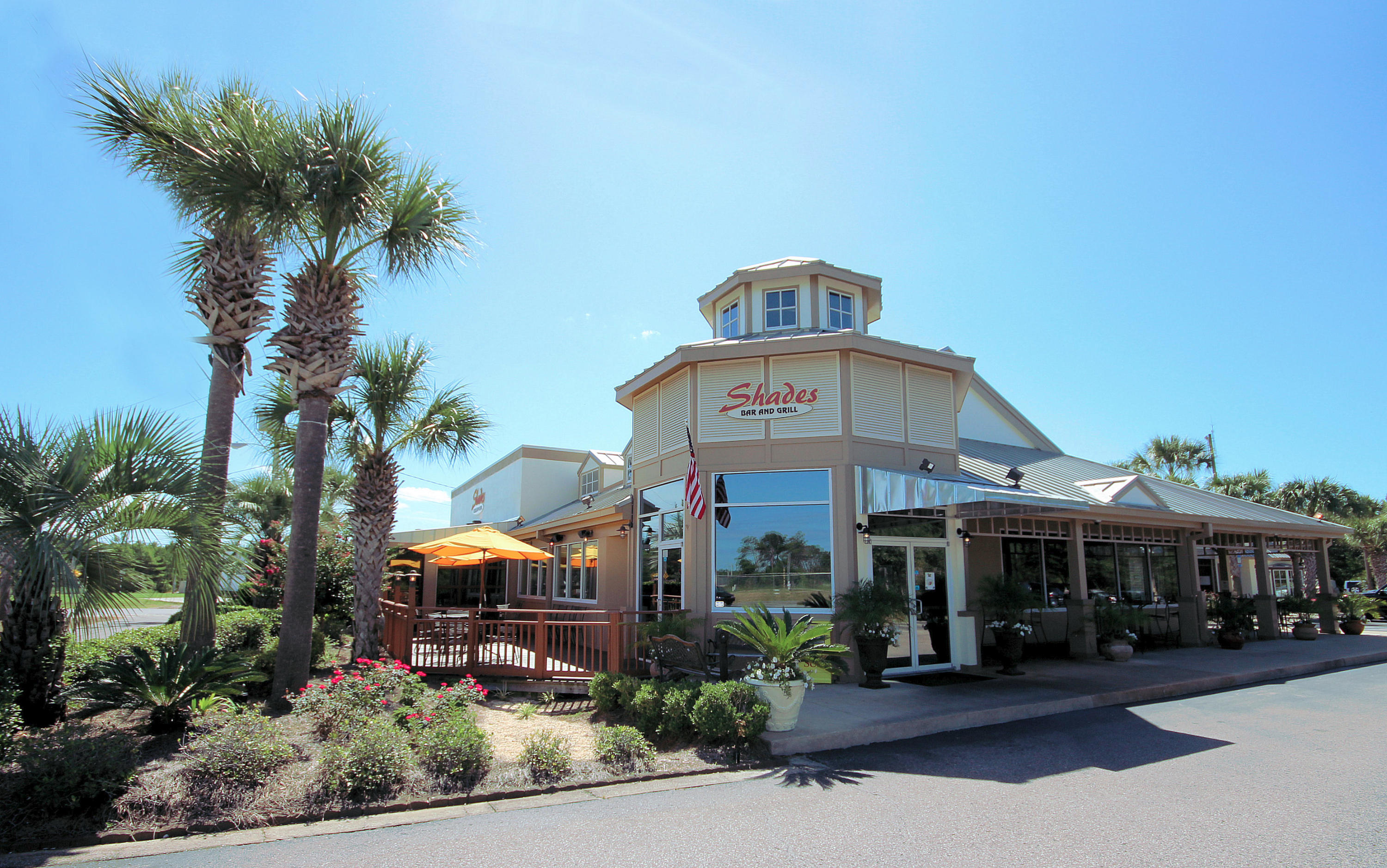 Heron at Inlet Beach - Land