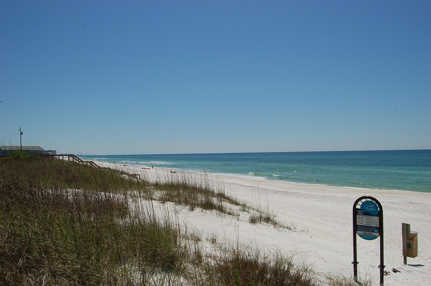 Heron at Inlet Beach - Land