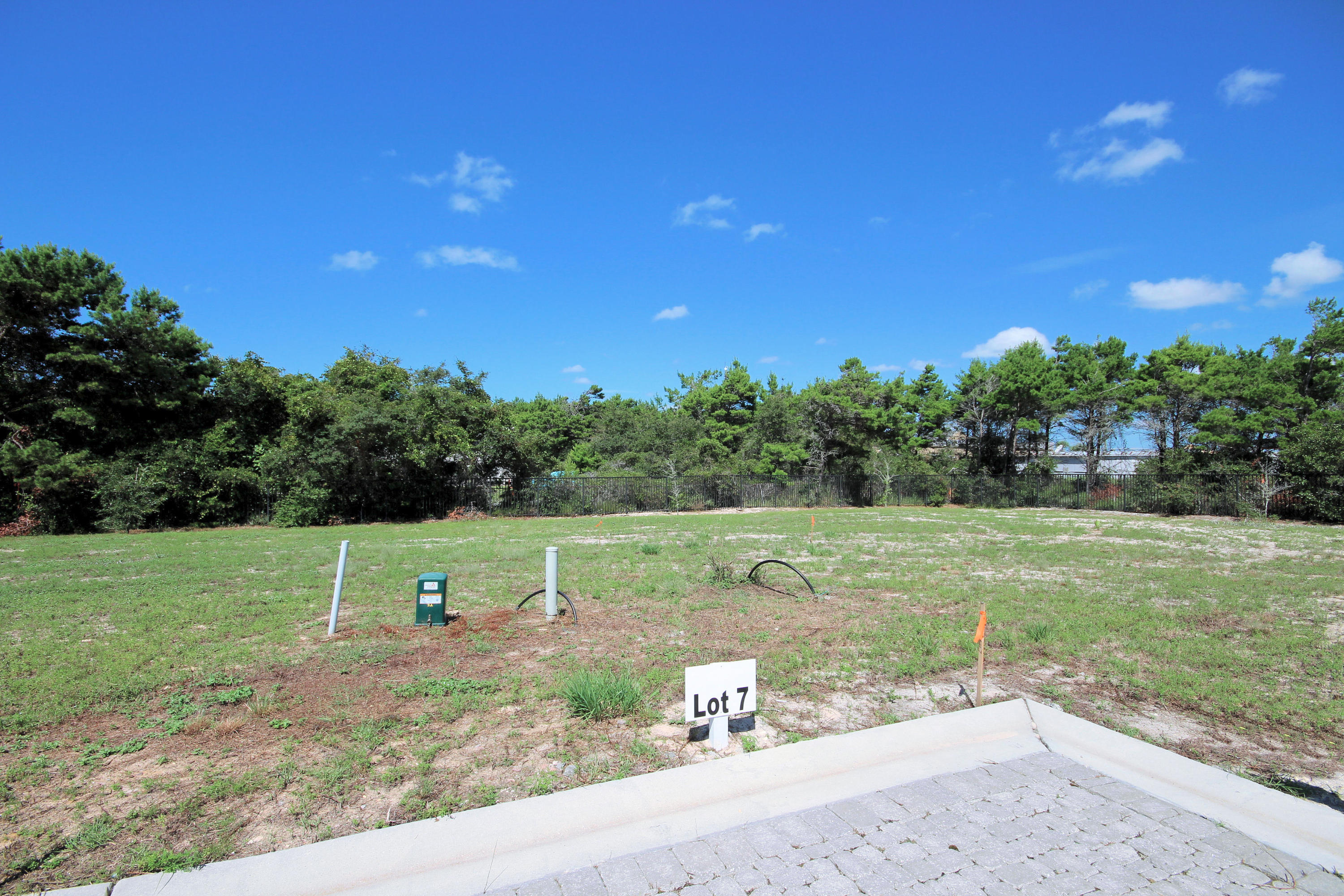 Heron at Inlet Beach - Land