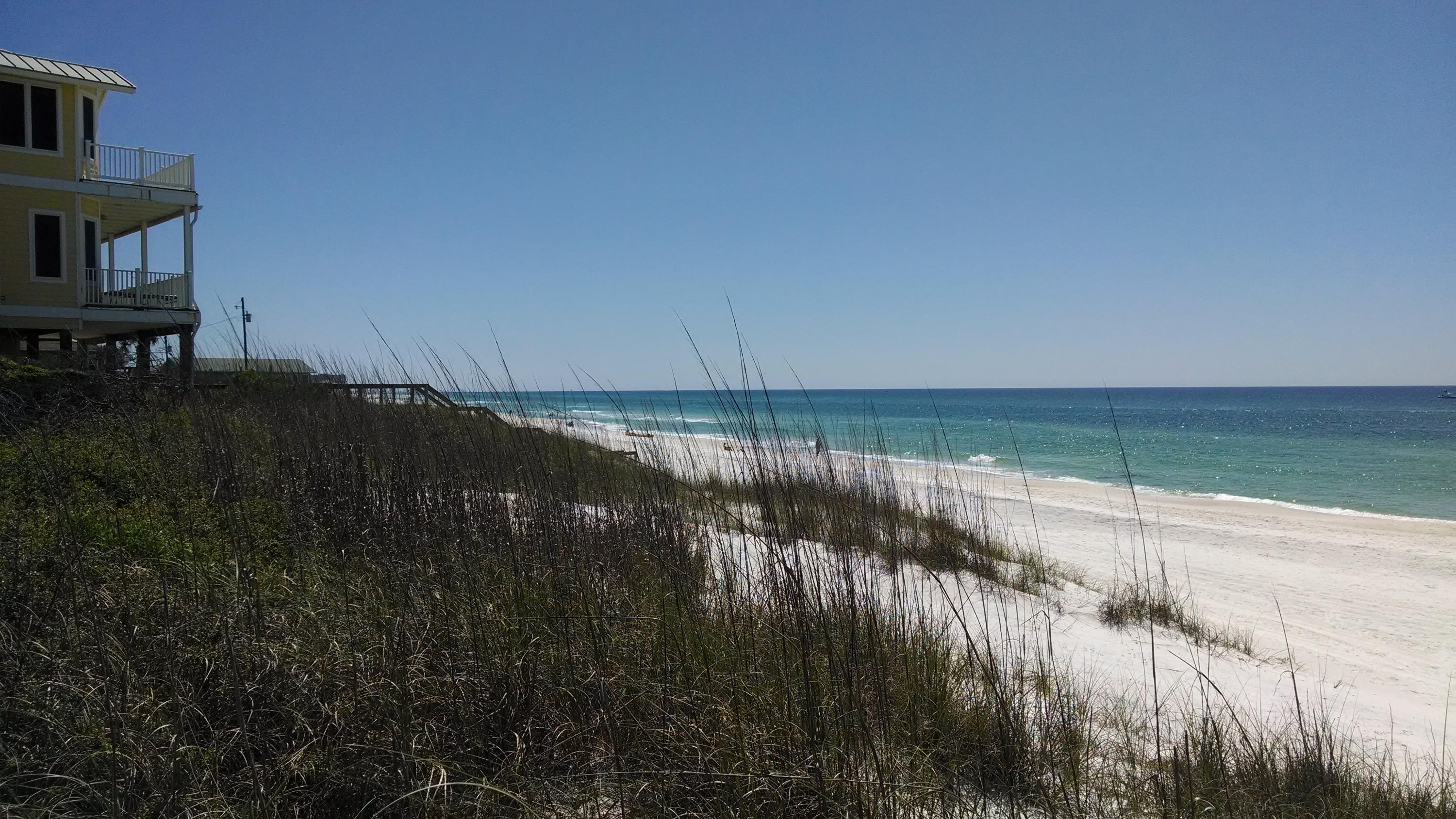 Heron at Inlet Beach - Land