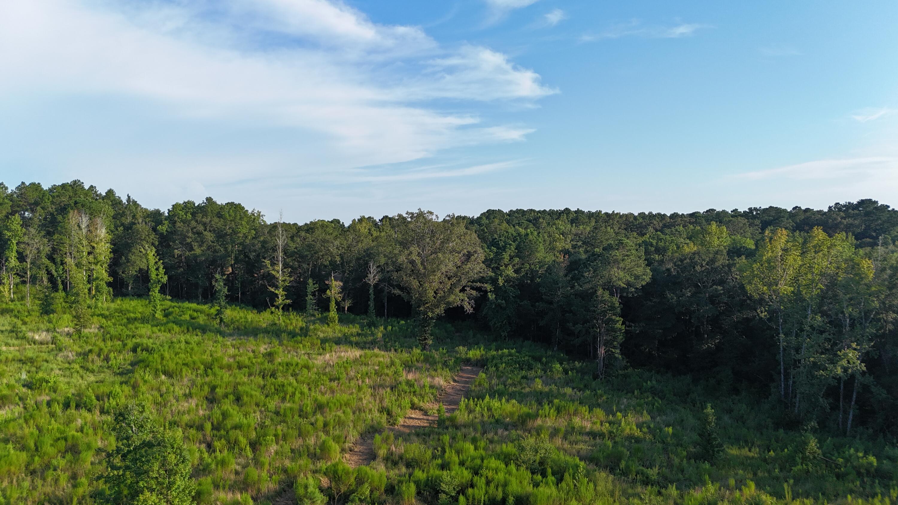 A rare opportunity to own 18 acres +/- of a stunning parent parcel in Walton County, to be divided at closing from a larger 40-acre tract. This land offers unmatched character with rolling hills, a peaceful valley setting, and a blend of unique landscapes that feel both private and expansive.Tucked at the end of a private road, the property showcases a diverse mix of natural beauty: a lush evergreen forest, and a canopy of towering hardwoods accented by massive, centuries-old live oaks. The land has been thoughtfully maintained, preserving its stately trees and mature landscape while offering multiple ideal home sites.