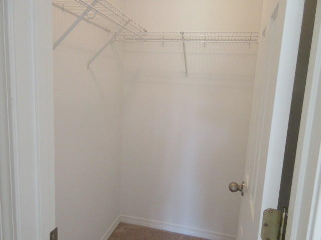 PALMETTO PLANTATION - Residential