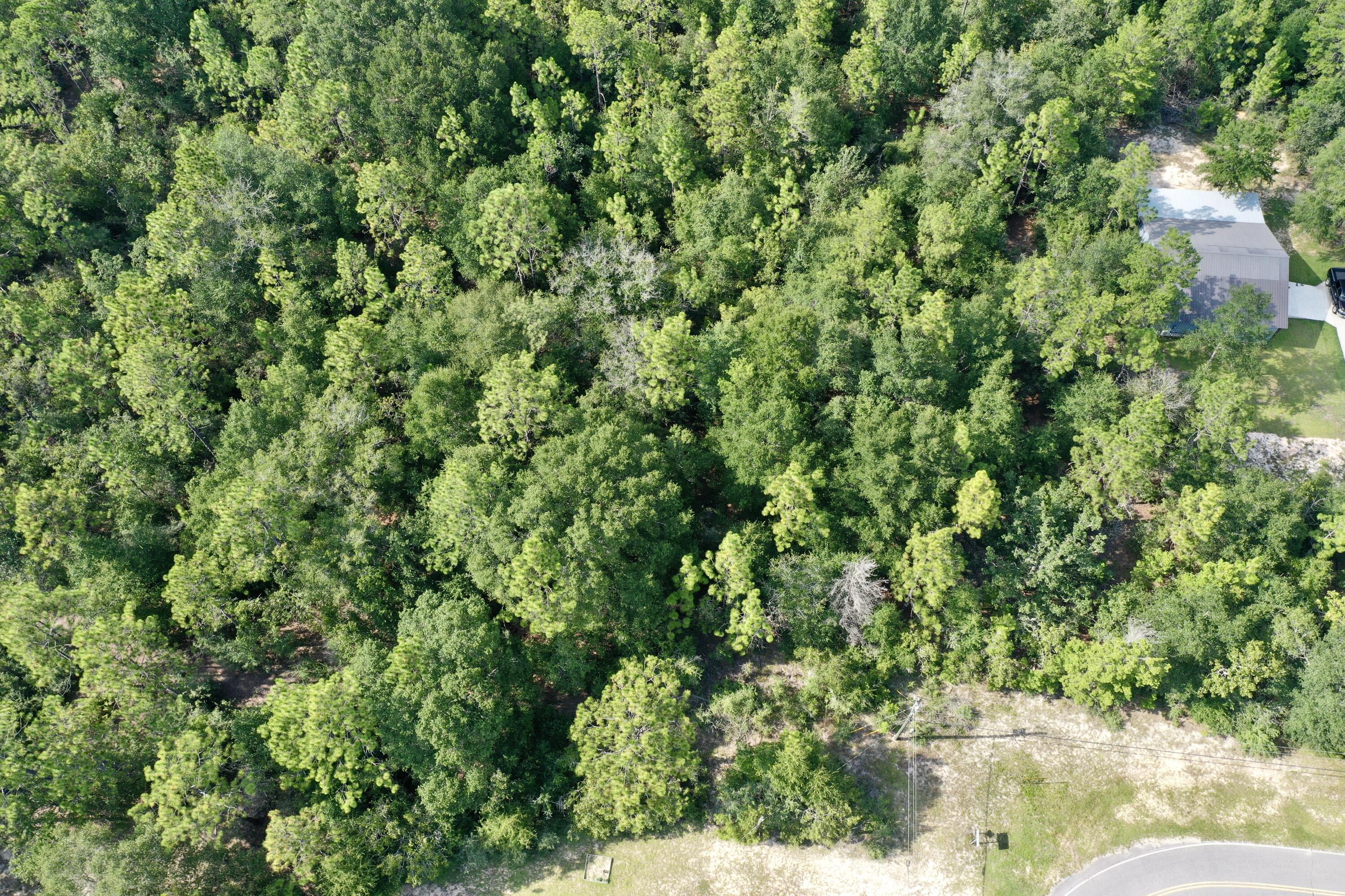 5AC on Possum Ridge with no restrictions! This is a beautiful home site! Bring your favorite floor plan! There is a stream at the North West Corner of the property. This property is close to town but still far enough out for some peace! Buyer to verify all areas of importance. Buyer to confirm and satisfy themselves to all information.