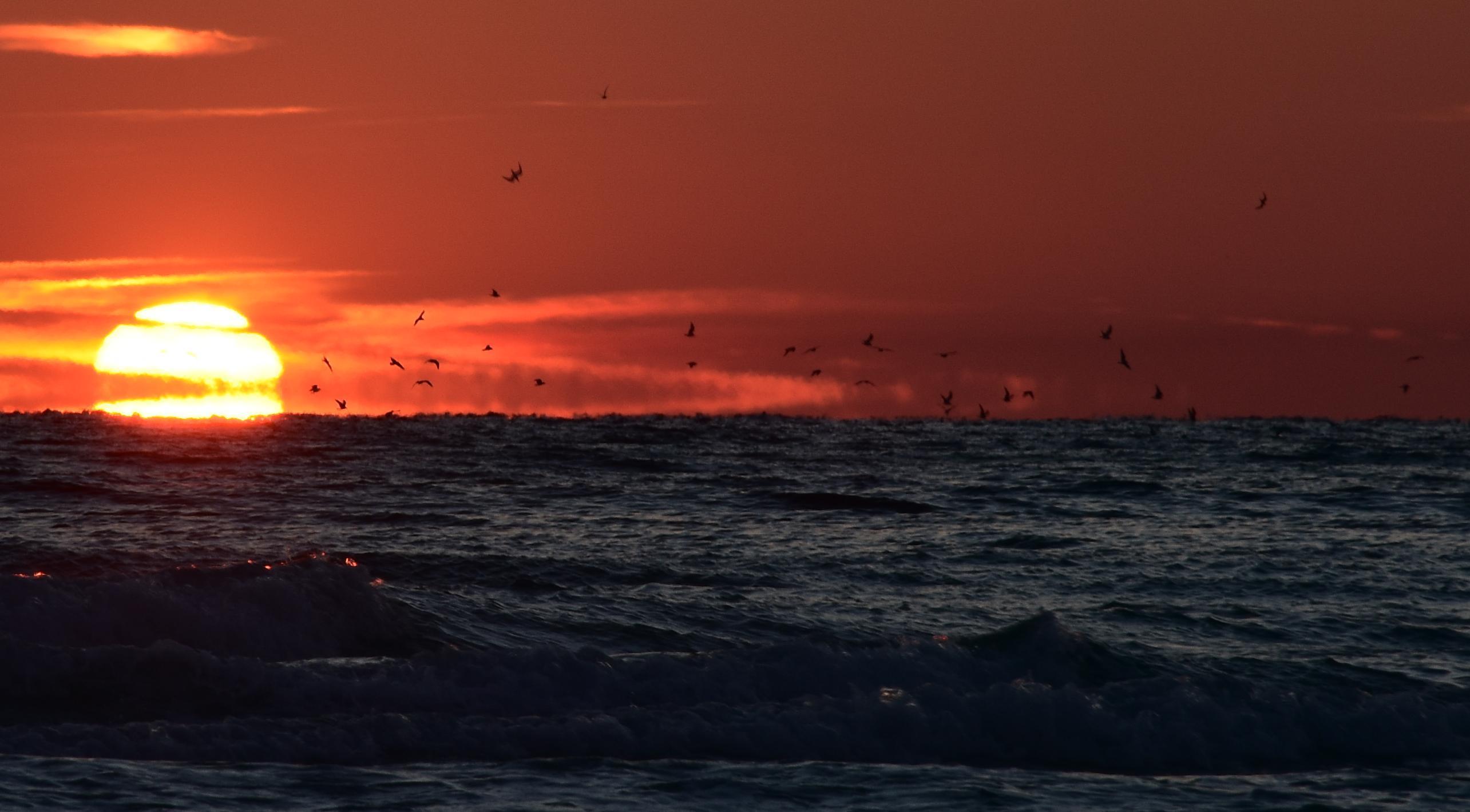 CRYSTAL SANDS CONDO - Residential