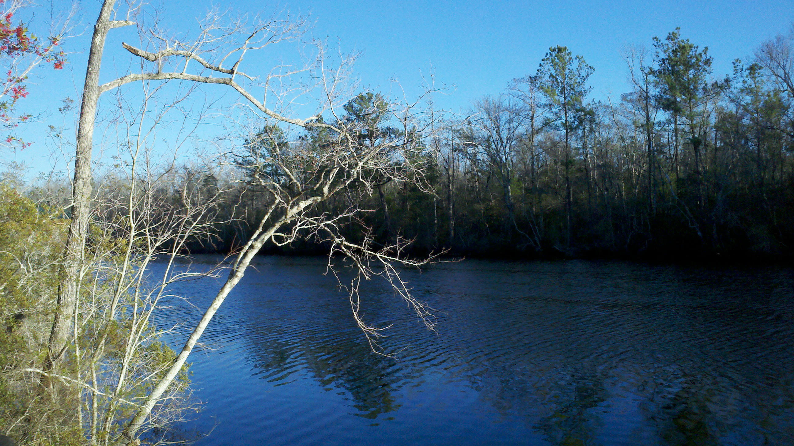 BLACK CREEK ESTATES - Residential