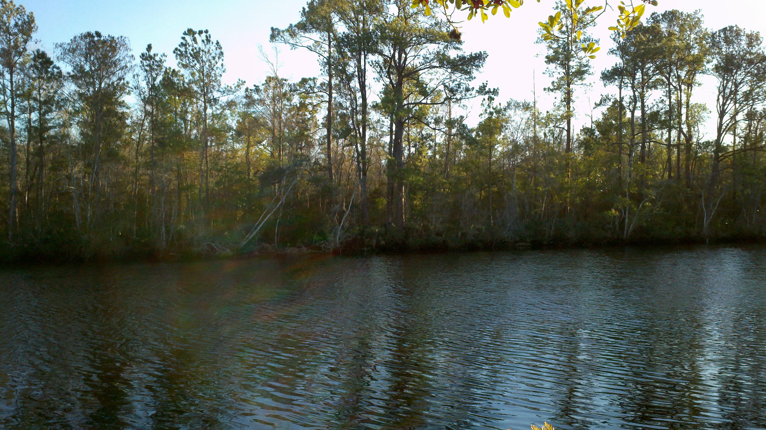 BLACK CREEK ESTATES - Residential