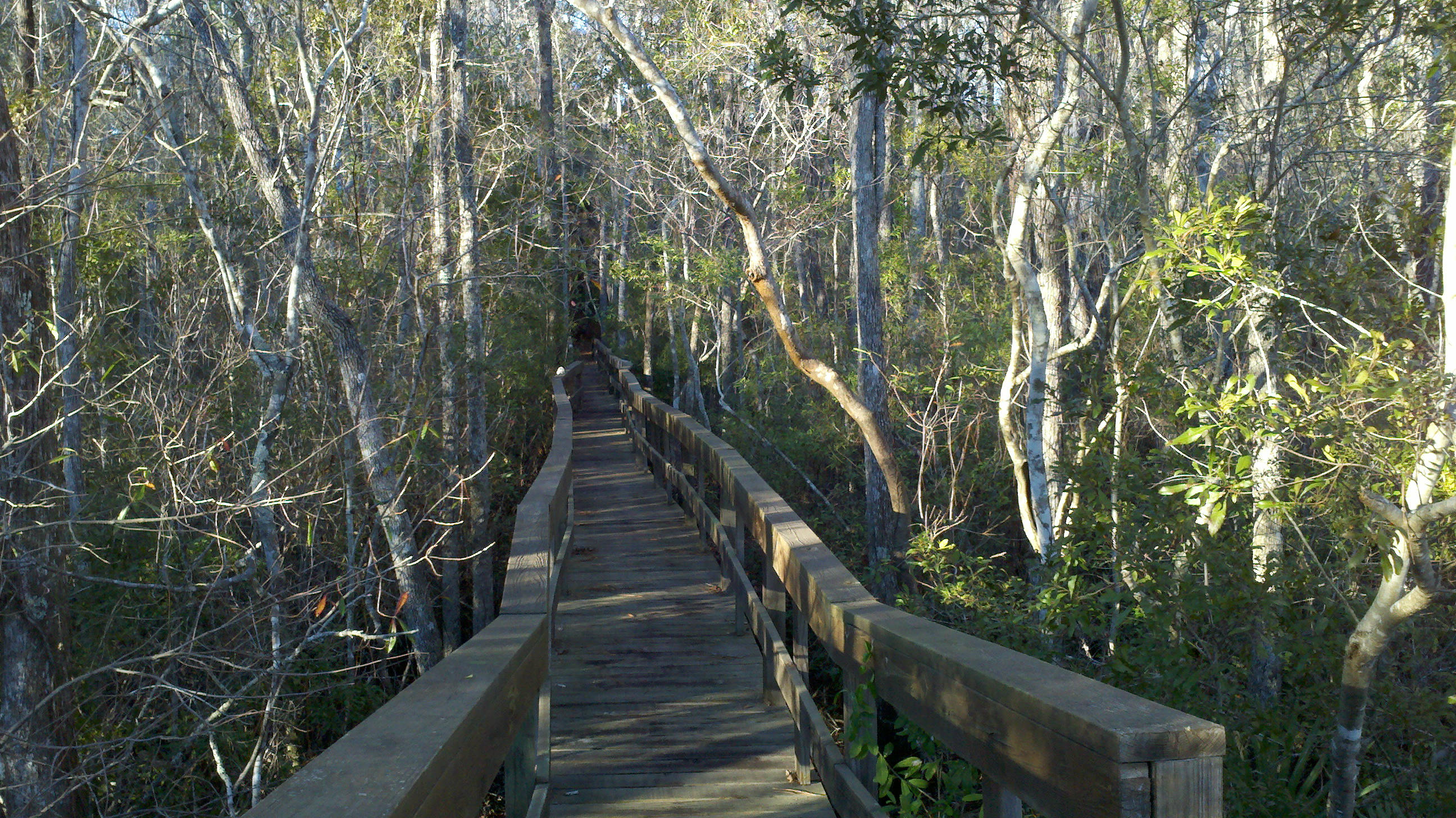 BLACK CREEK ESTATES - Residential