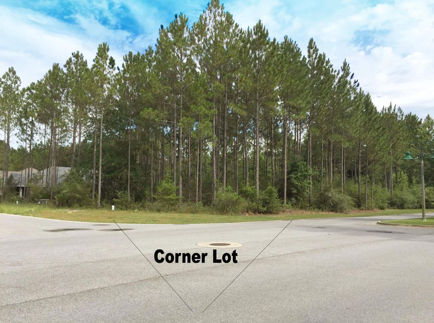 One of the largest lots in Hammock Bay. This is a exceptional corner lot and can easily accommodate any sizable home. Located in an established community with only a few lots left to build on.Owners at Hammock Bay enjoy a 6,000 sq.ft.clubhouse with Meeting rooms, 4,000 sq.ft.fitness center,pet park,numerous nature trails,competition lap pool,resort-style pool,putting green,movie theater,massive playground,tennis courts and basketball courts.
