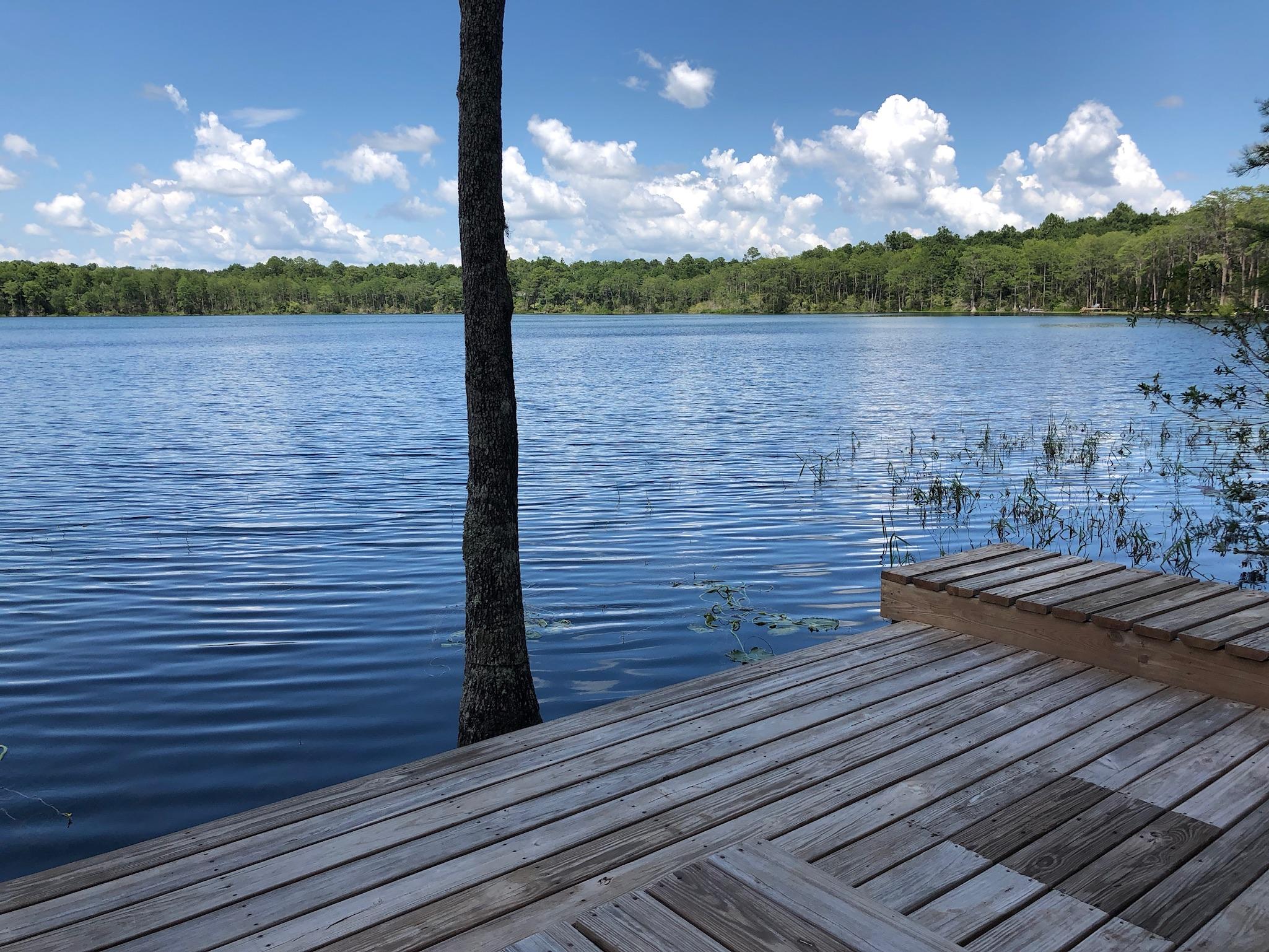 BLUE CYPRESS - Residential