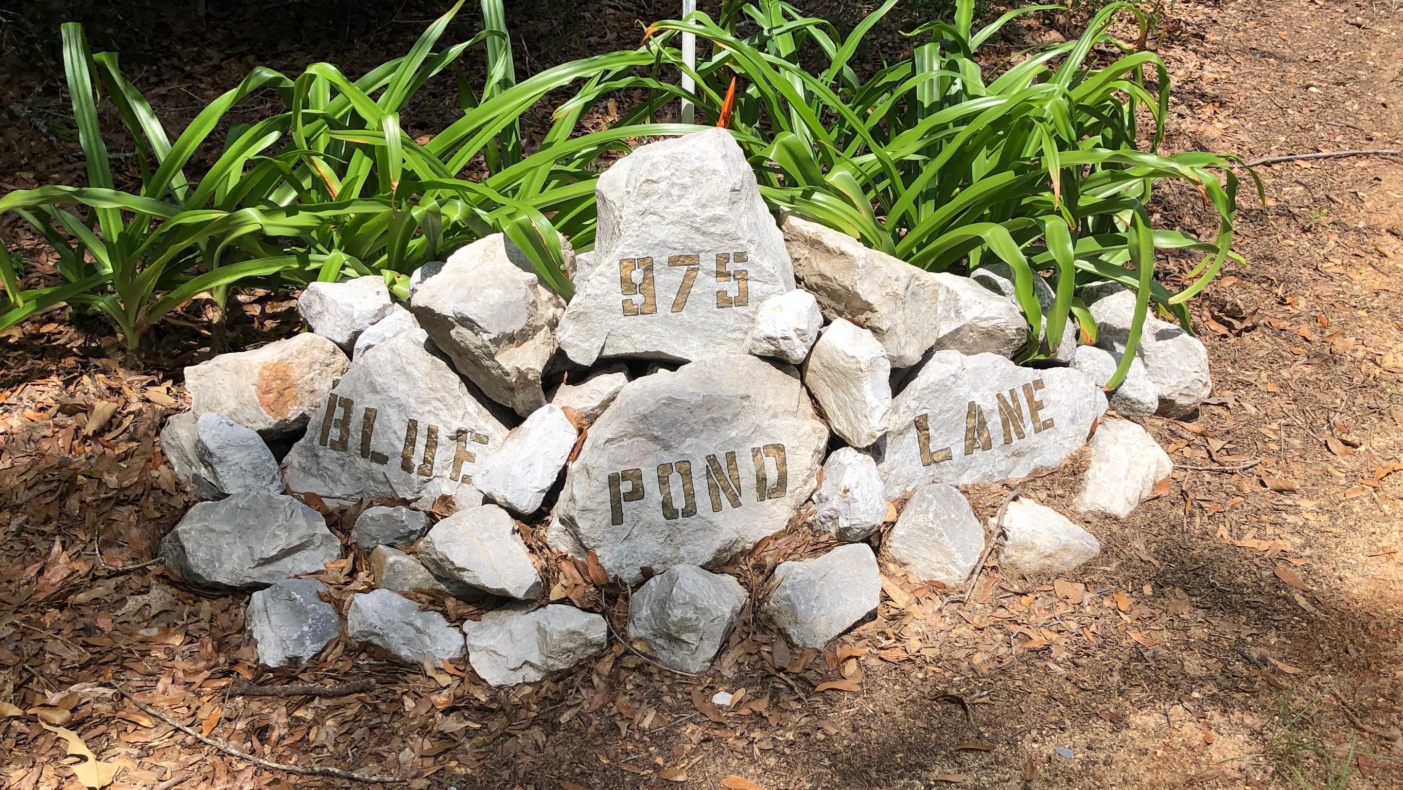 BLUE CYPRESS - Residential