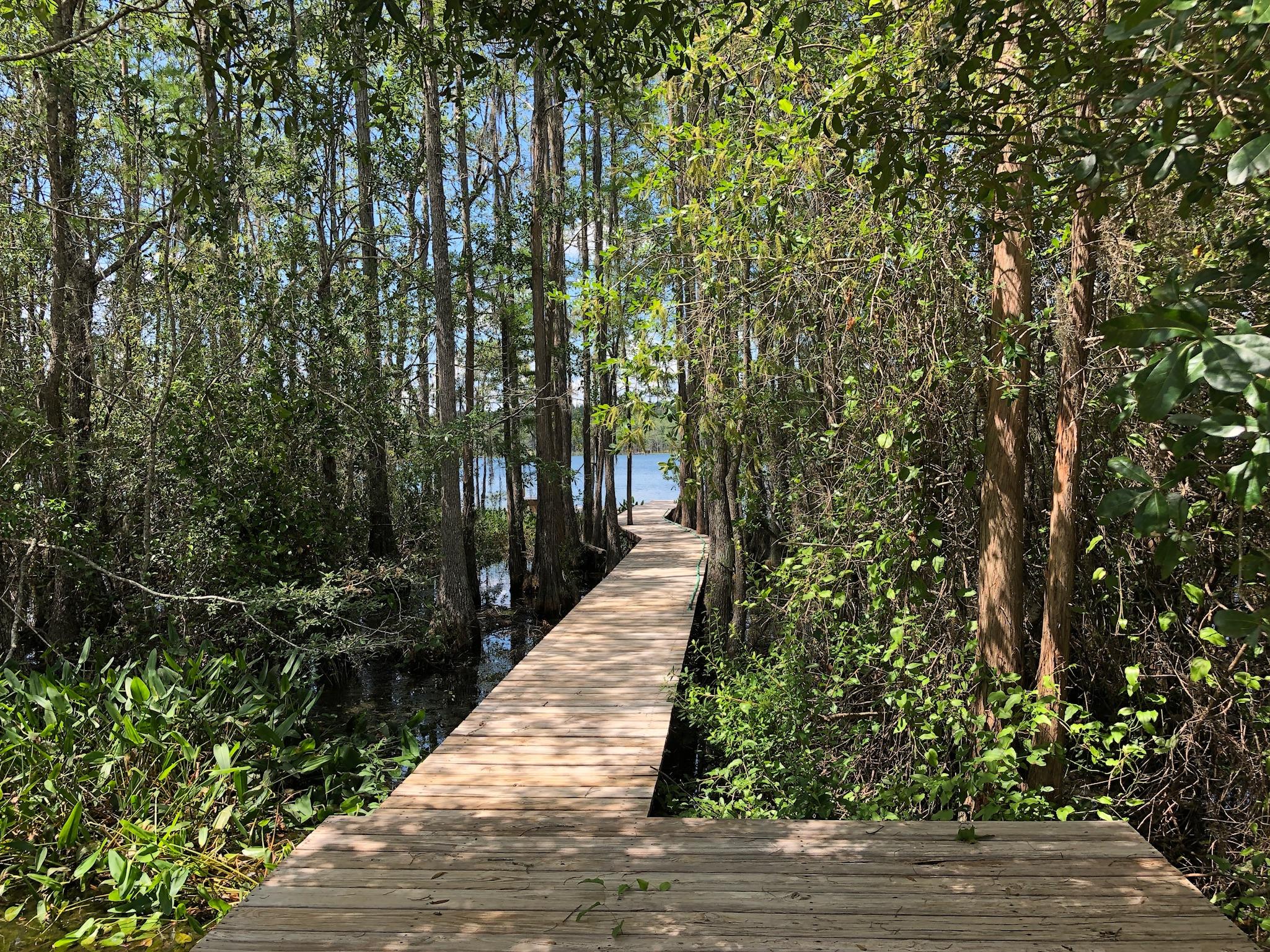 BLUE CYPRESS - Residential