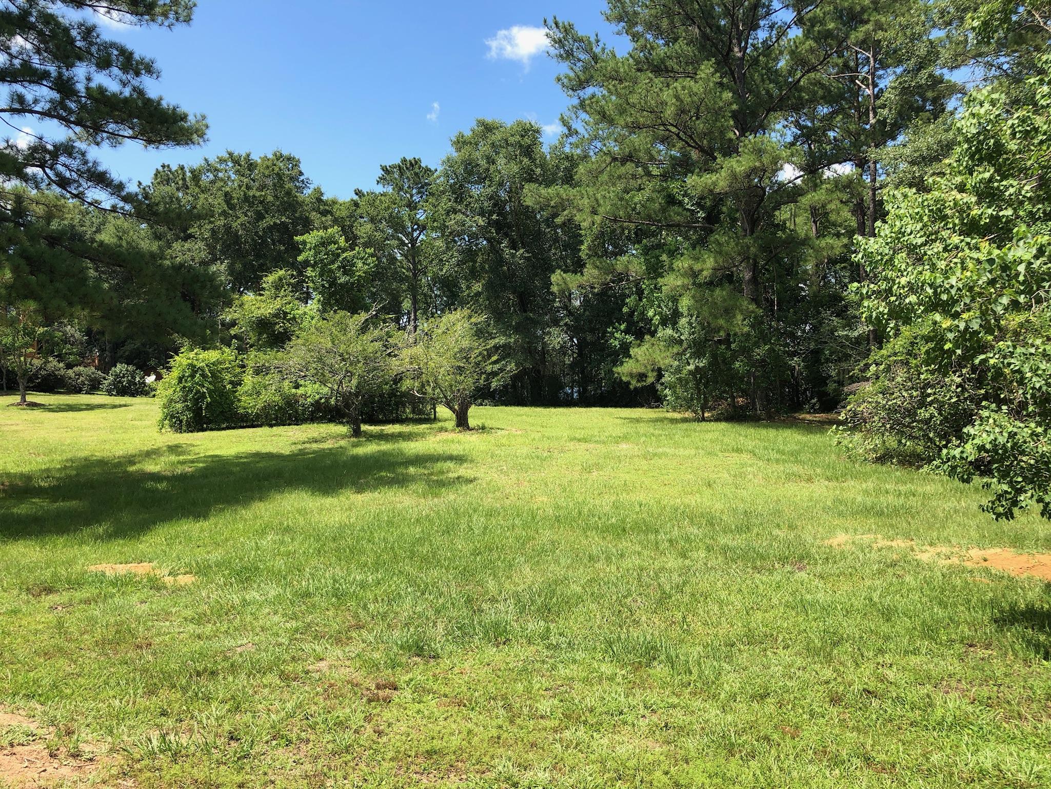 BLUE CYPRESS - Residential