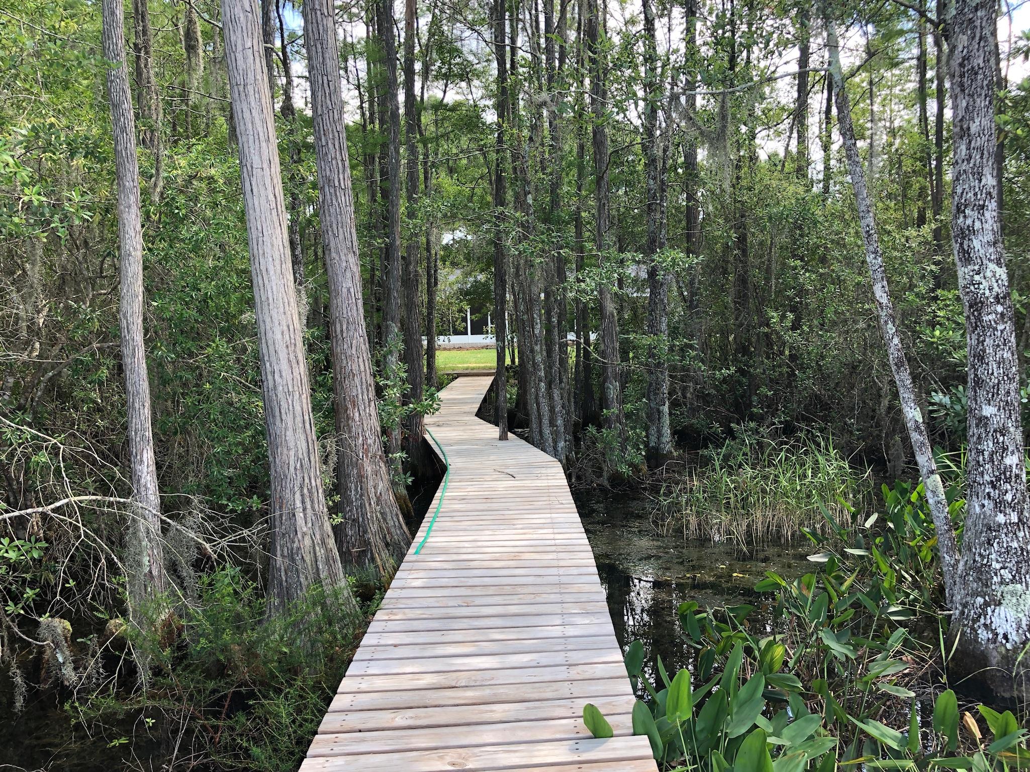 BLUE CYPRESS - Residential