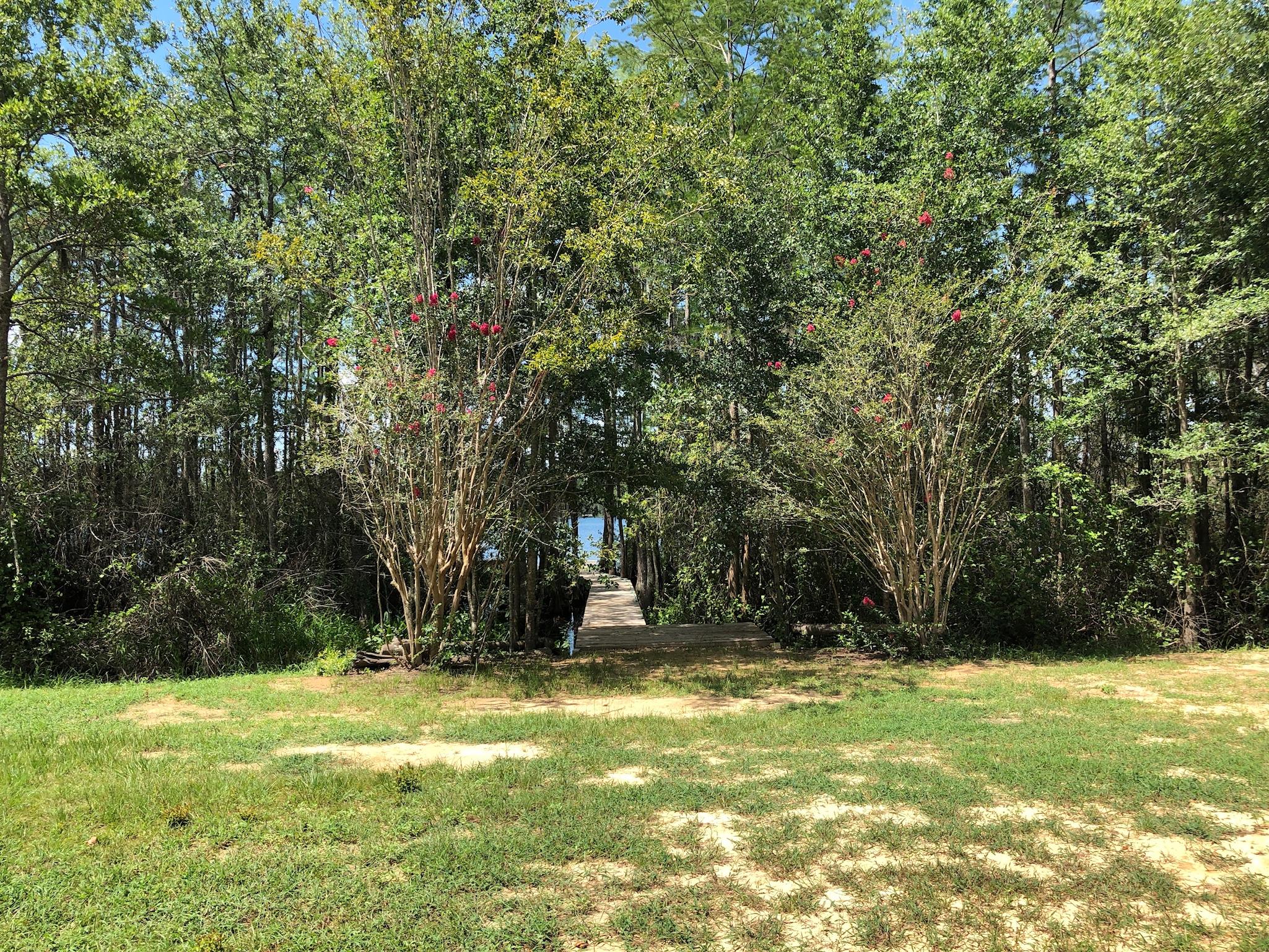 BLUE CYPRESS - Residential