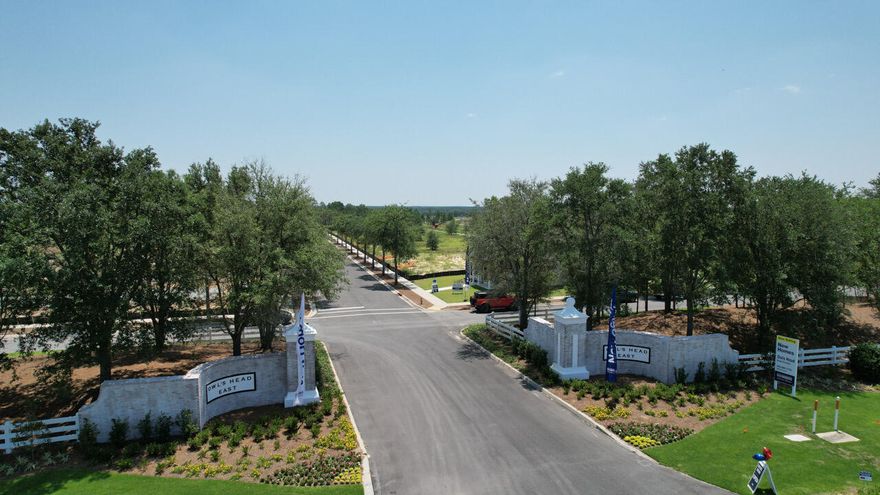 Welcome to this unique traditional neighborhood development community, situated near the heart of historic Freeport, FL! Owl's Head features residential single-family homes and boasts a beautiful pristine lake, an interior central park, private alleys to rear entry garages and elevations of over 100 feet above sea level. Close proximity to hiking trails, shopping, dining, Publix, Freeport High School, and more! Build your new home here and take part in this new and vibrant community!