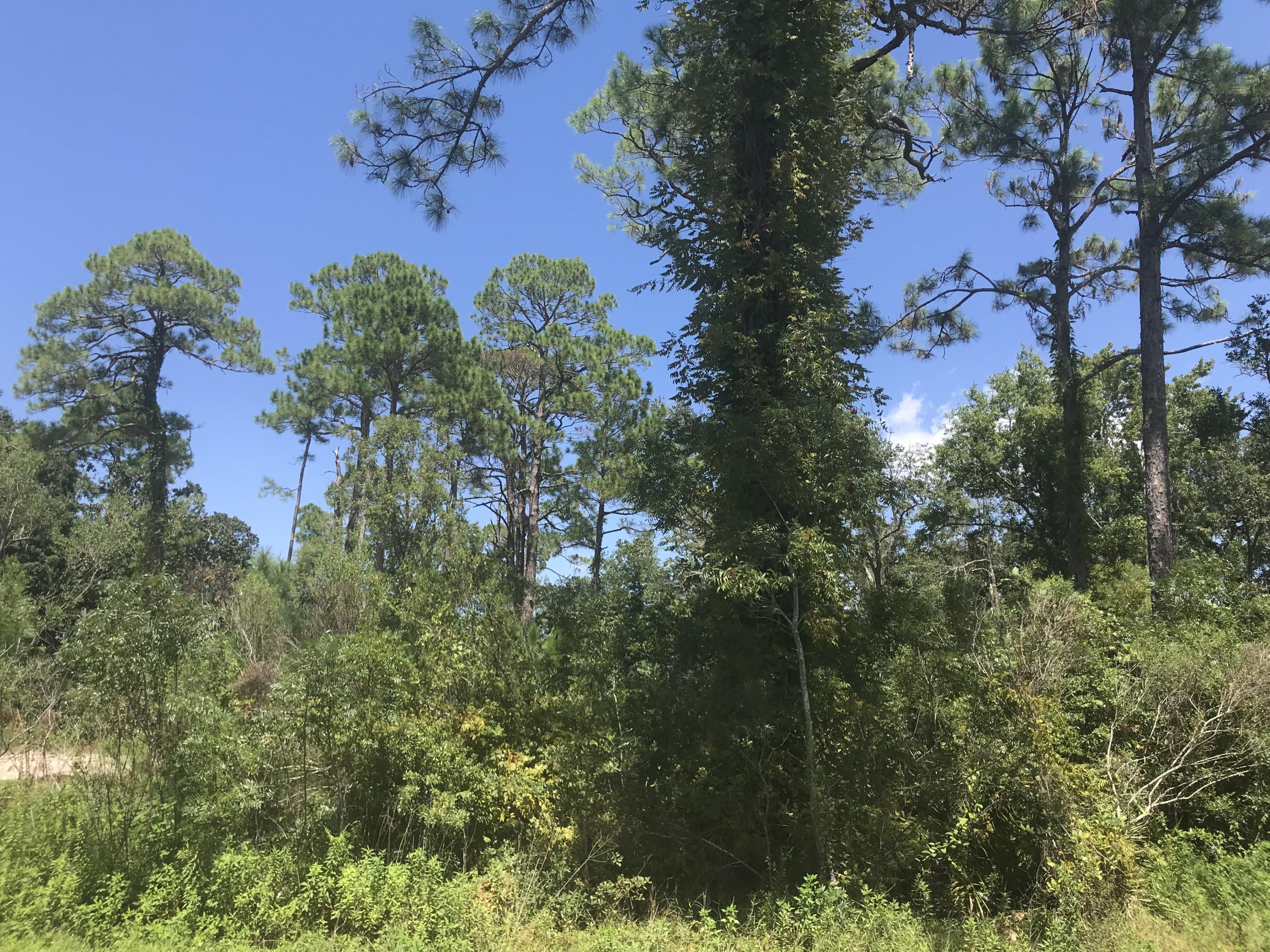 Magnolia Beach - Land