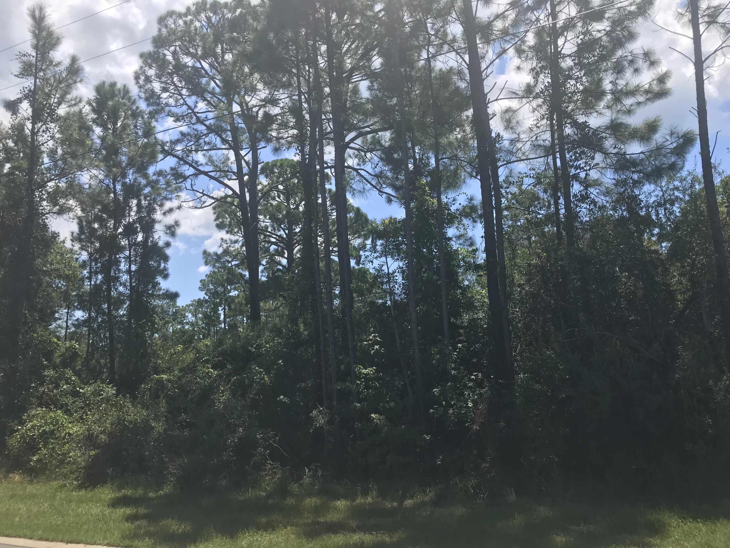 Magnolia Beach - Land