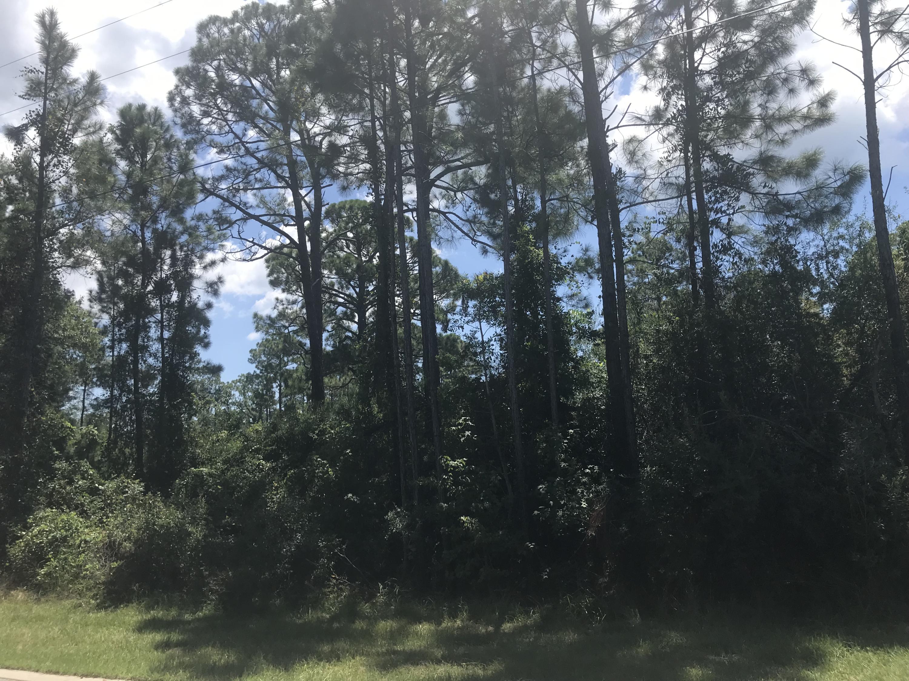 Magnolia Beach - Land