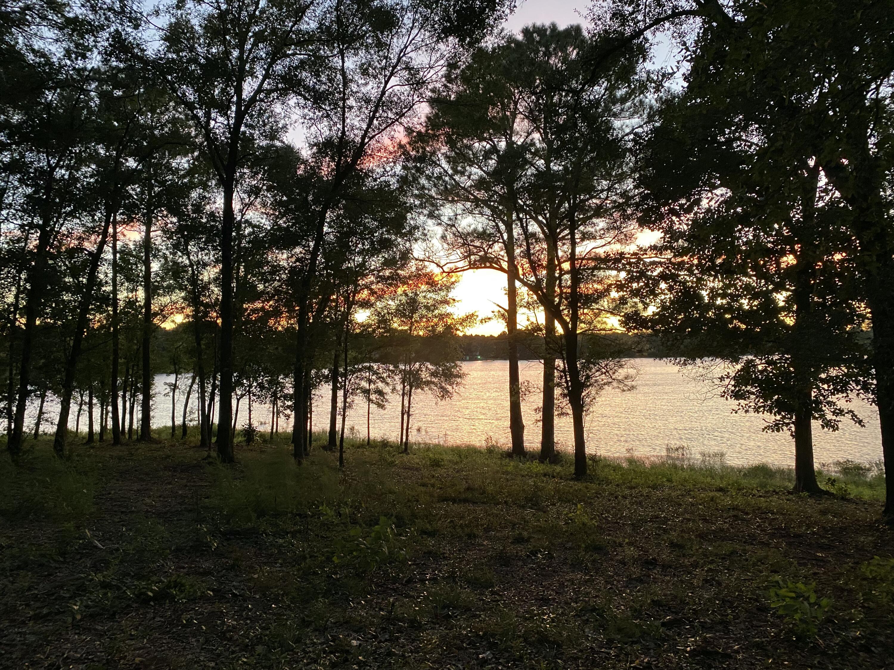 13.7AC KING LAKE WF - Land