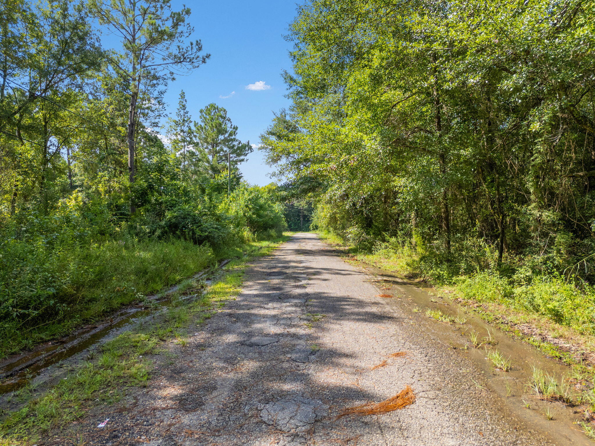 Fox Quarry Estates - Land