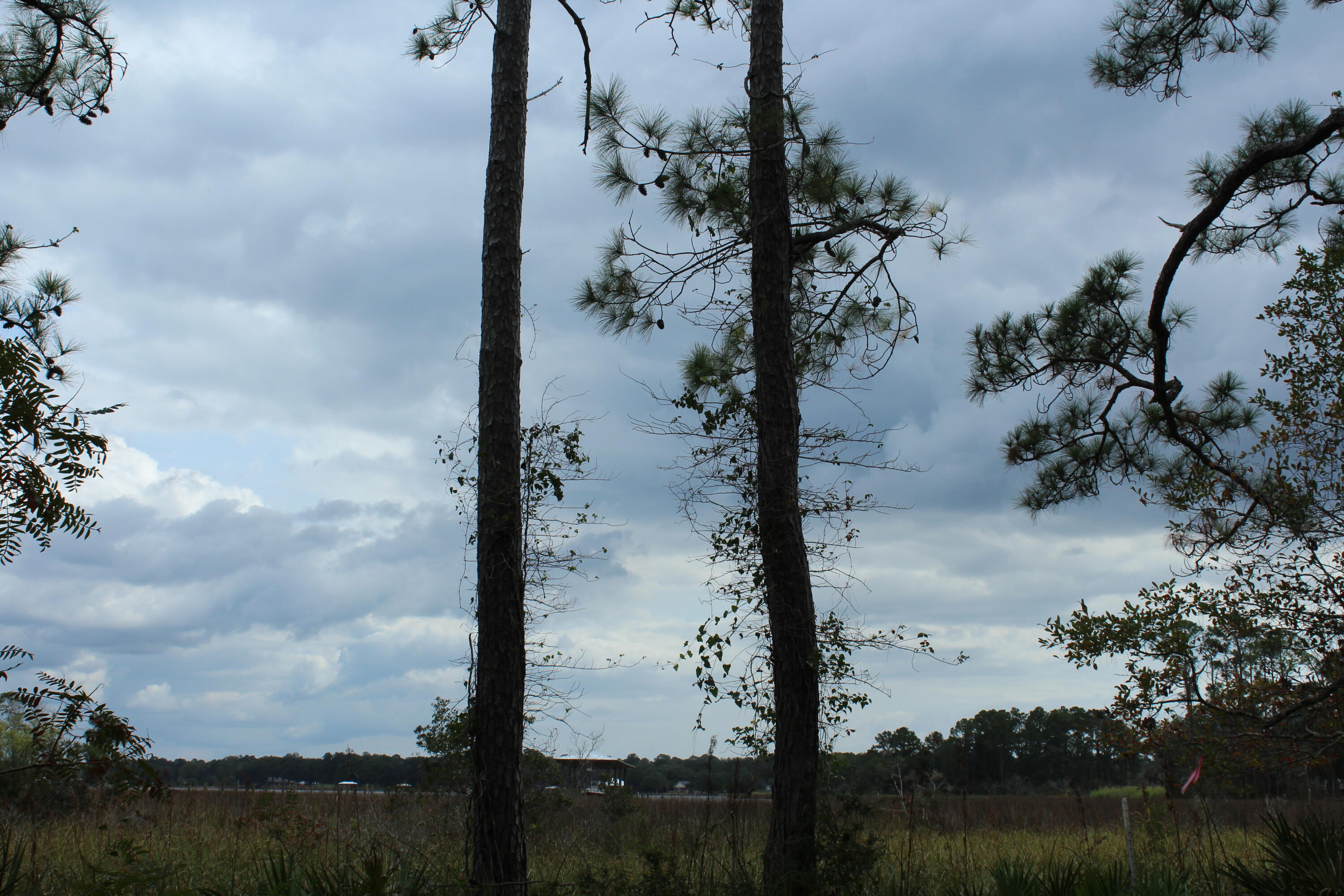 Large wooded lot centrally located in Freeport right off of East Bay Loop (SR-20). Seller to subdivide to 1/2 acre lot, if buyer wants this! This lot would provide beautiful waterfront views from a potential two story home with view of LaGrange Bayou. Cross Creek Shores is a developing subdivision, with homes being built in this neighborhood as recent as 2020. Lots 8 and 9 to be sold individually at $67000 per lot or together at $134000 (see MLS number 884358) . Acreage is approximately 1 acre total and .5 acre per lot based on tax accessor. No survey is available. Buyer to verify all information and dimensions.