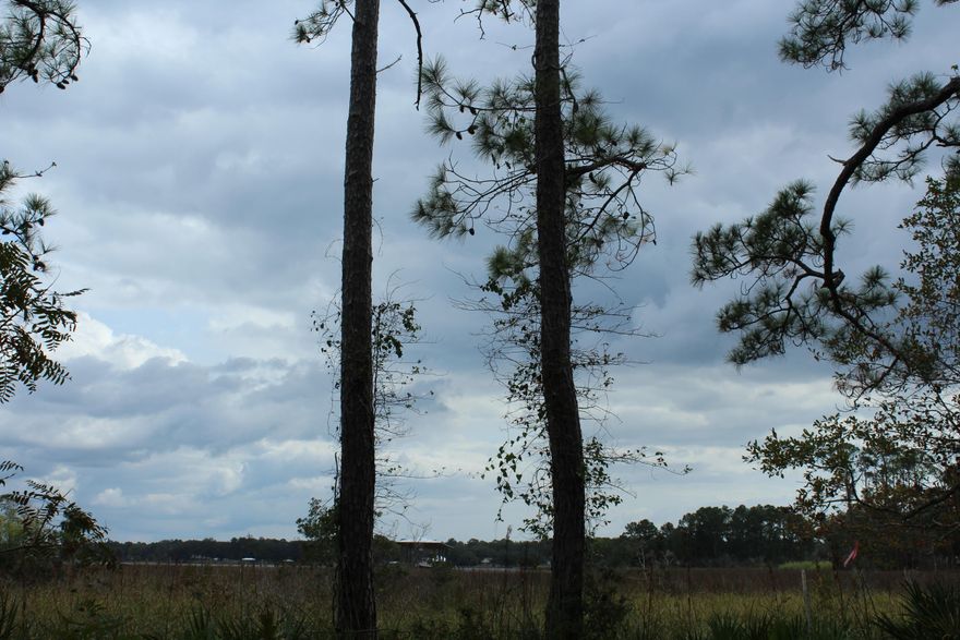 Large wooded lot centrally located in Freeport right off of East Bay Loop (SR-20).  Seller to subdivide to 1/2 acre lot, if buyer wants this! This lot would provide beautiful waterfront views from a potential two story home with view of LaGrange Bayou. Cross Creek Shores is a developing subdivision, with homes being built in this neighborhood as recent as 2020. Lots 8 and 9 to be sold individually at $67000 per lot or together at $134000 (see MLS number 884358) . Acreage is approximately 1 acre total and .5 acre per lot based on tax accessor. No survey is available. Buyer to verify all information and dimensions.