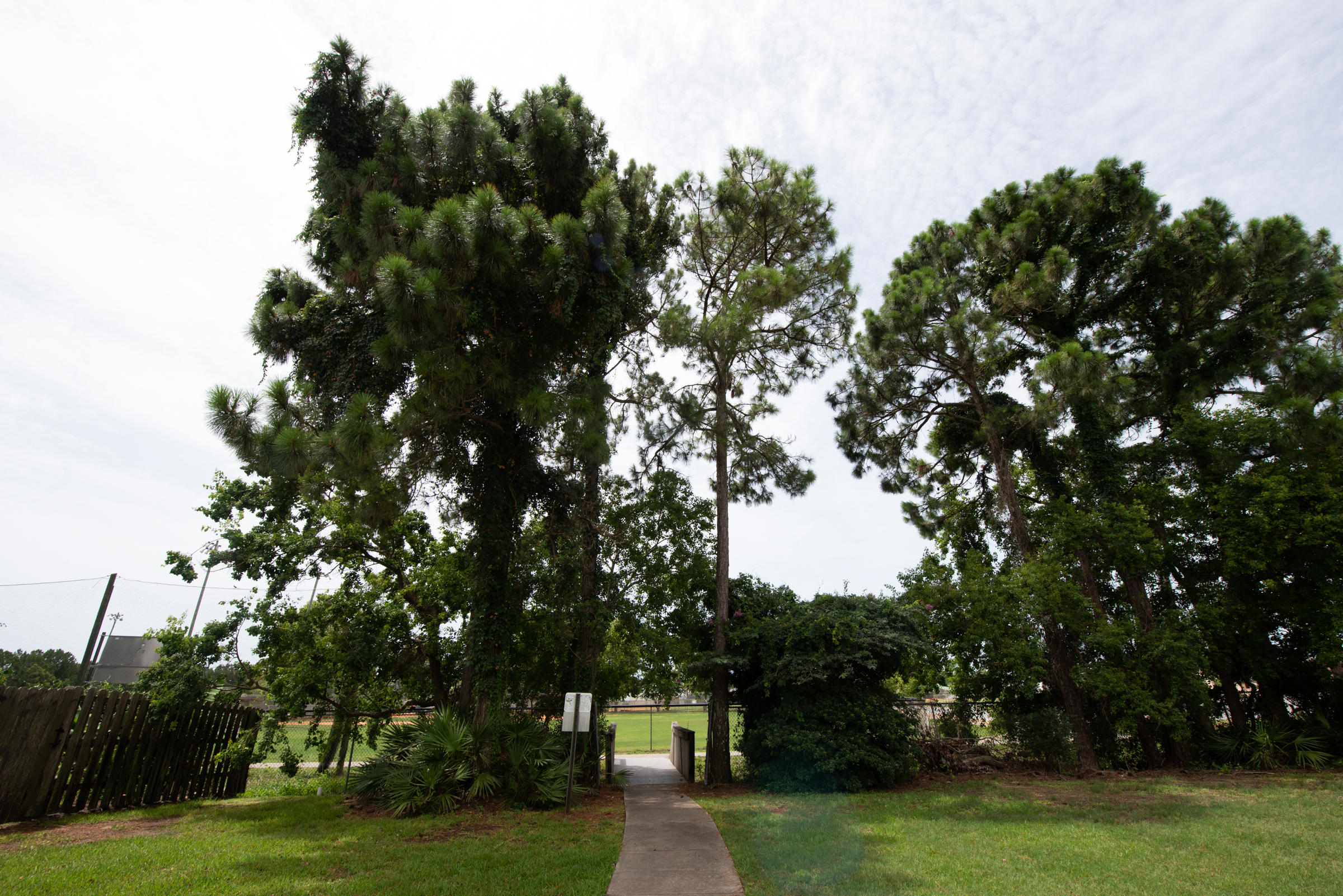 TIGER LAKE - Residential