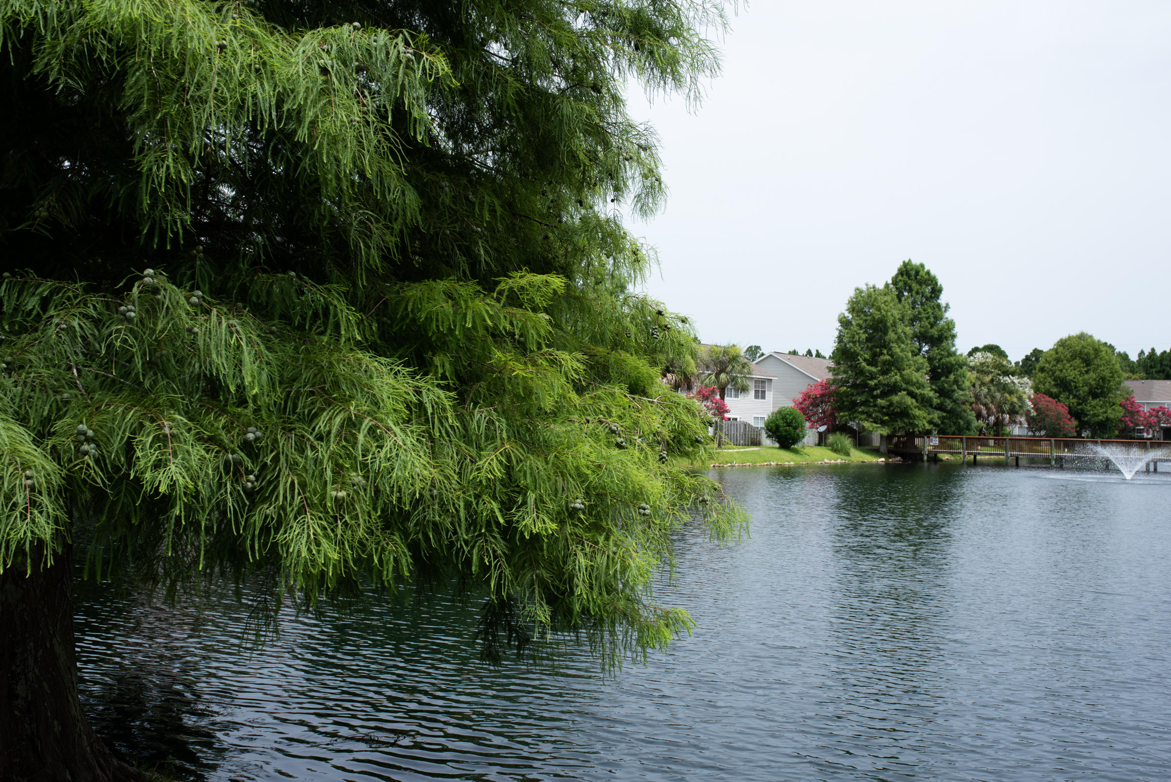 TIGER LAKE - Residential