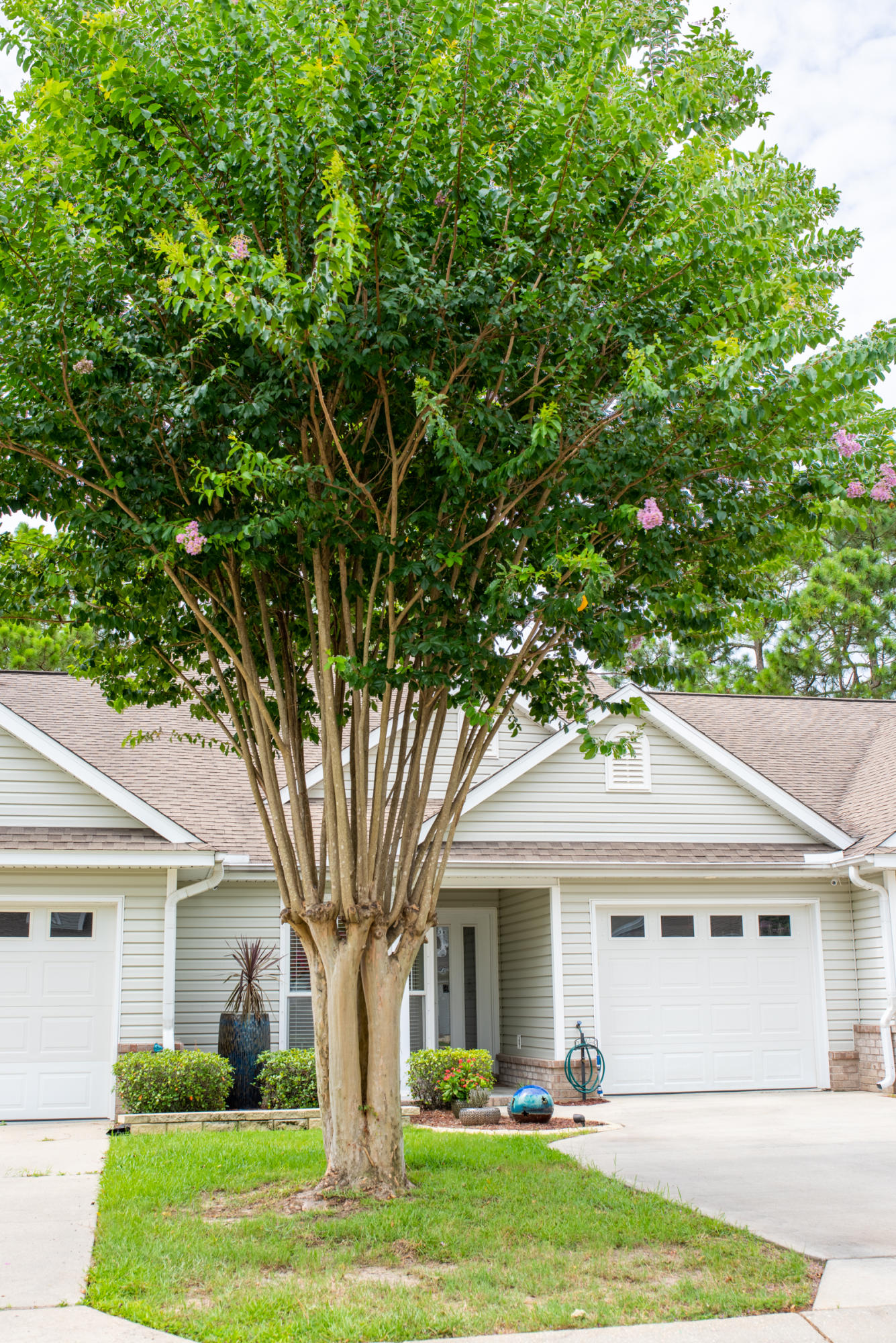 TIGER LAKE - Residential