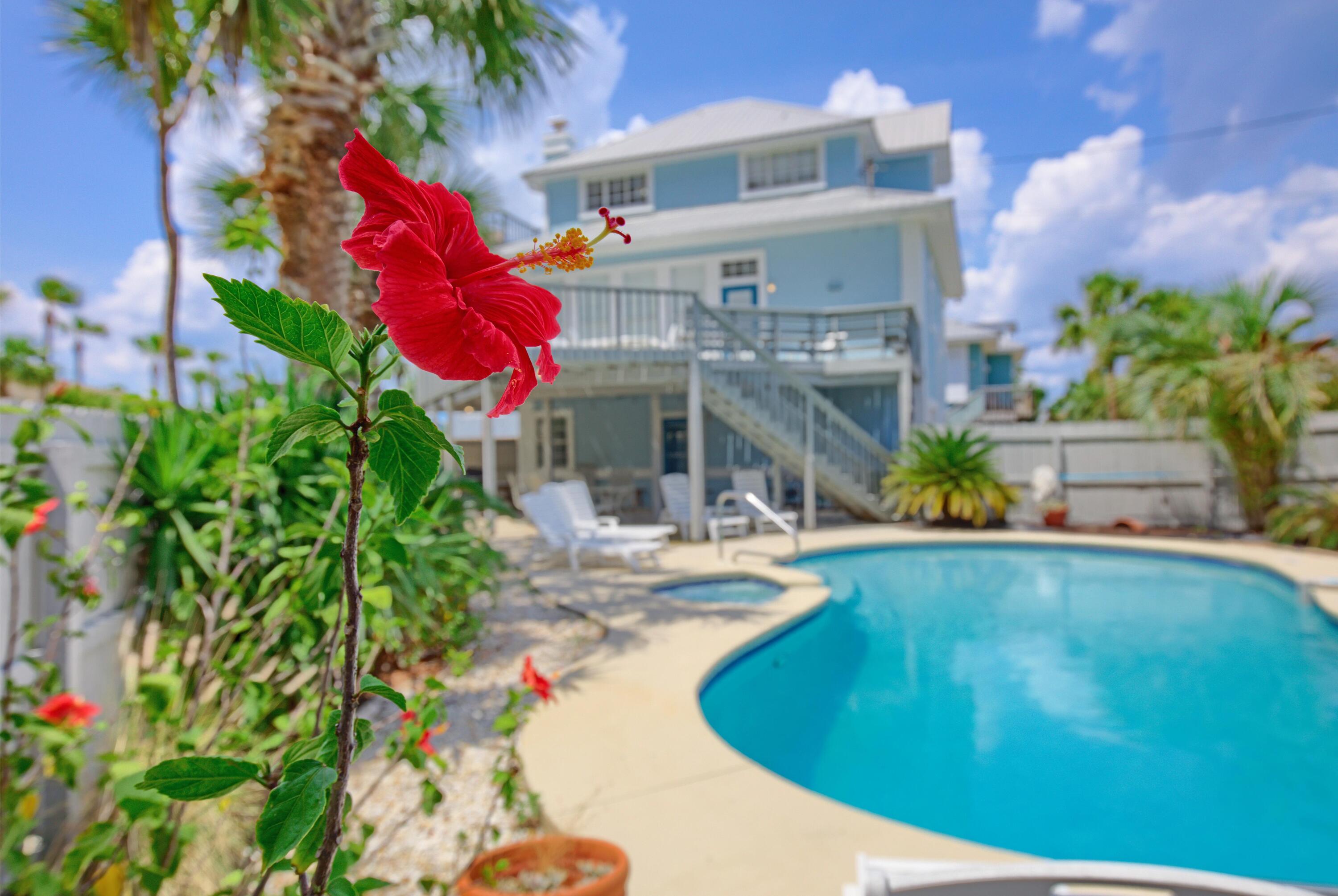 Holiday Beach on the Gulf - Residential