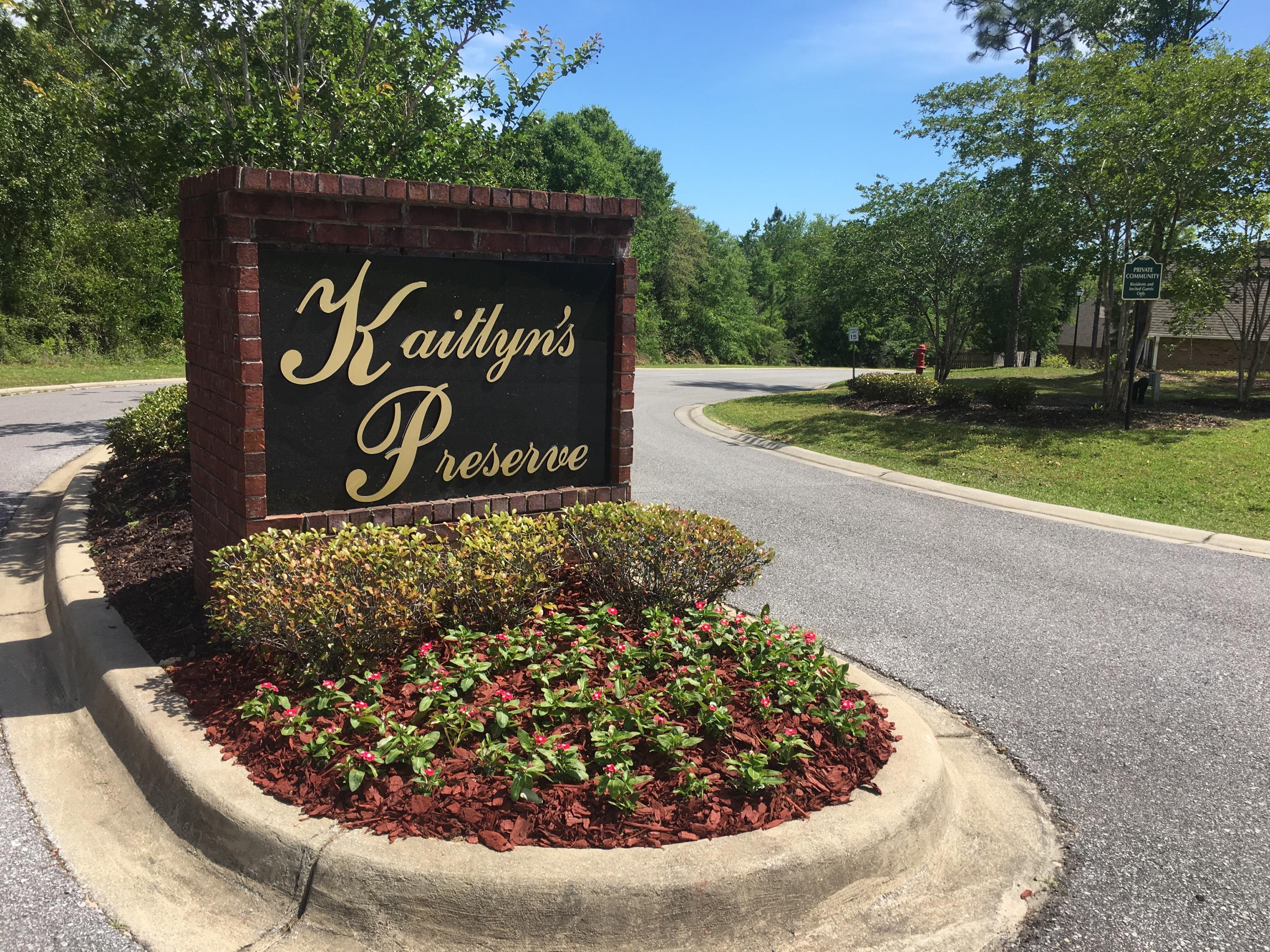 KAITLYNS PRESERVE - Residential