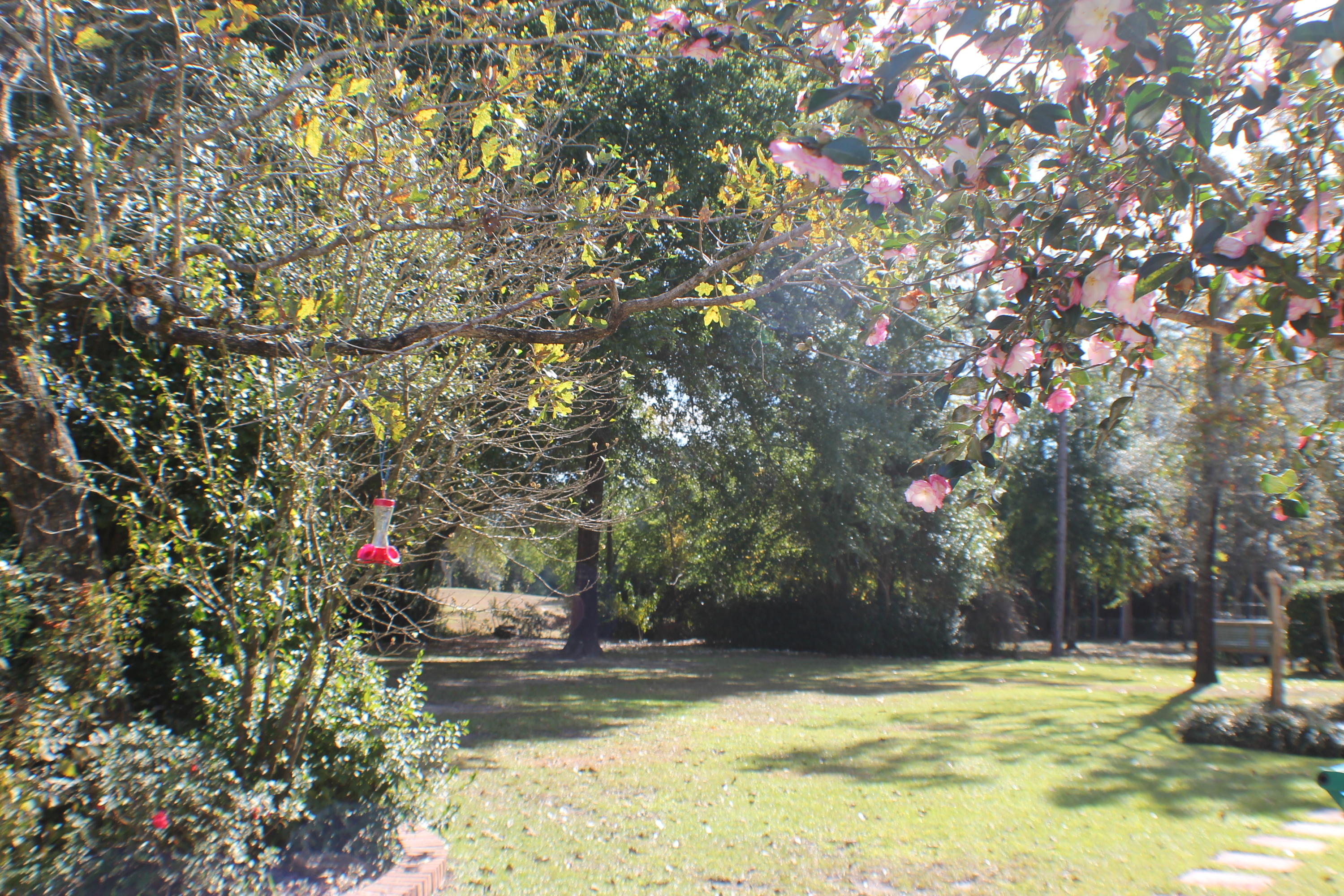 SHOAL LANDING EAST - Residential